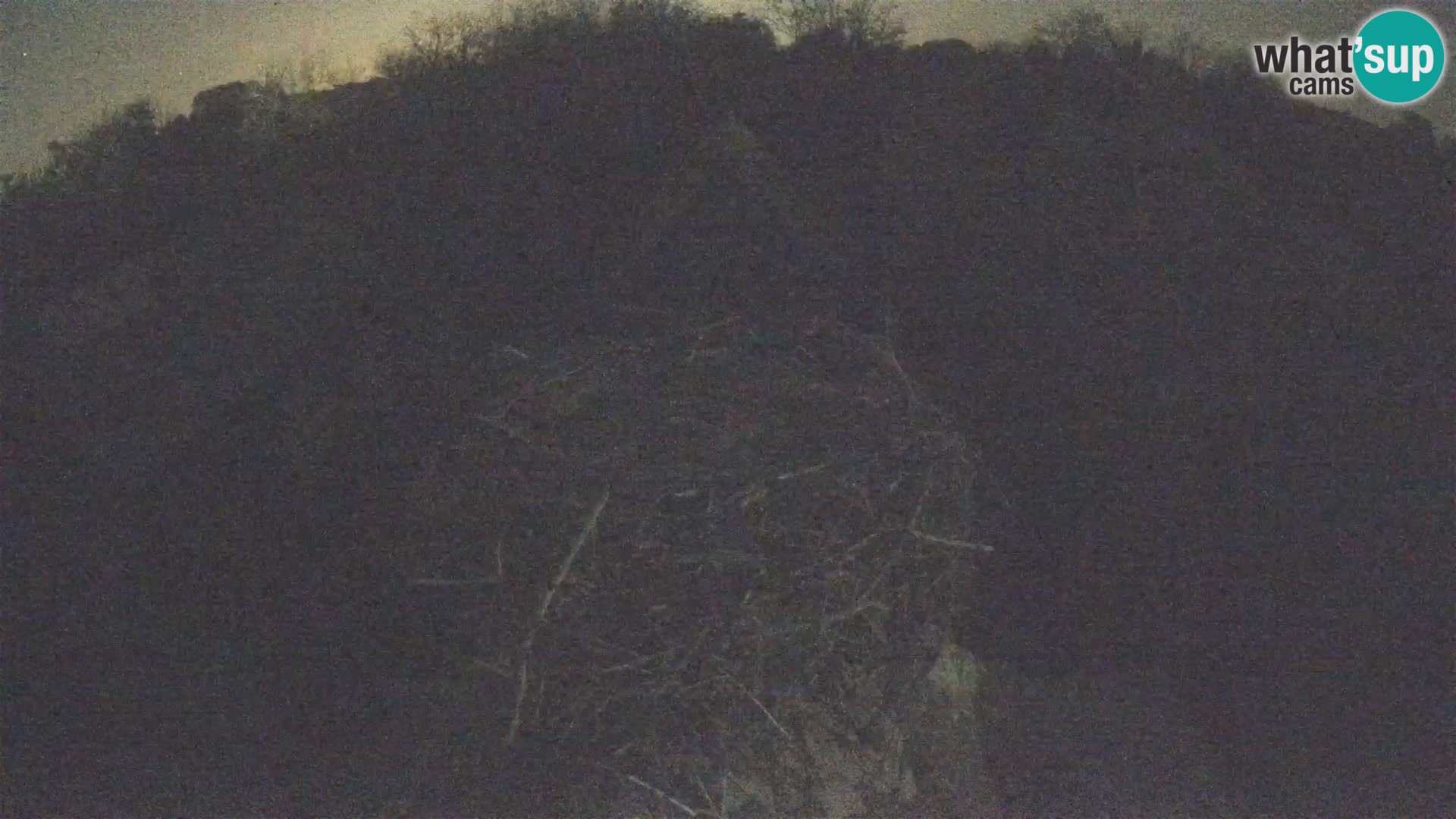 Webcam Europäisches Storchendorf – Naturpark Lonjsko polje