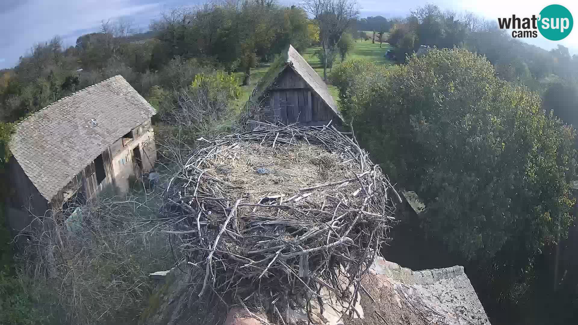 U živo Europsko selo roda – Park prirode Lonjsko polje