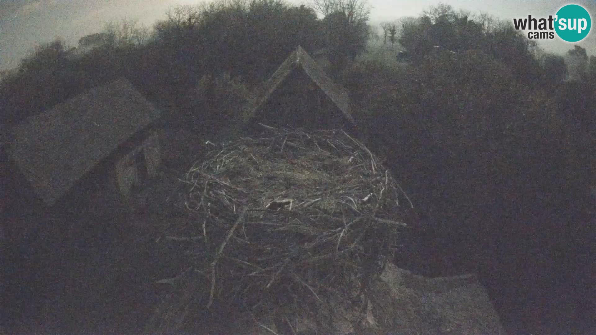 U živo Europsko selo roda – Park prirode Lonjsko polje