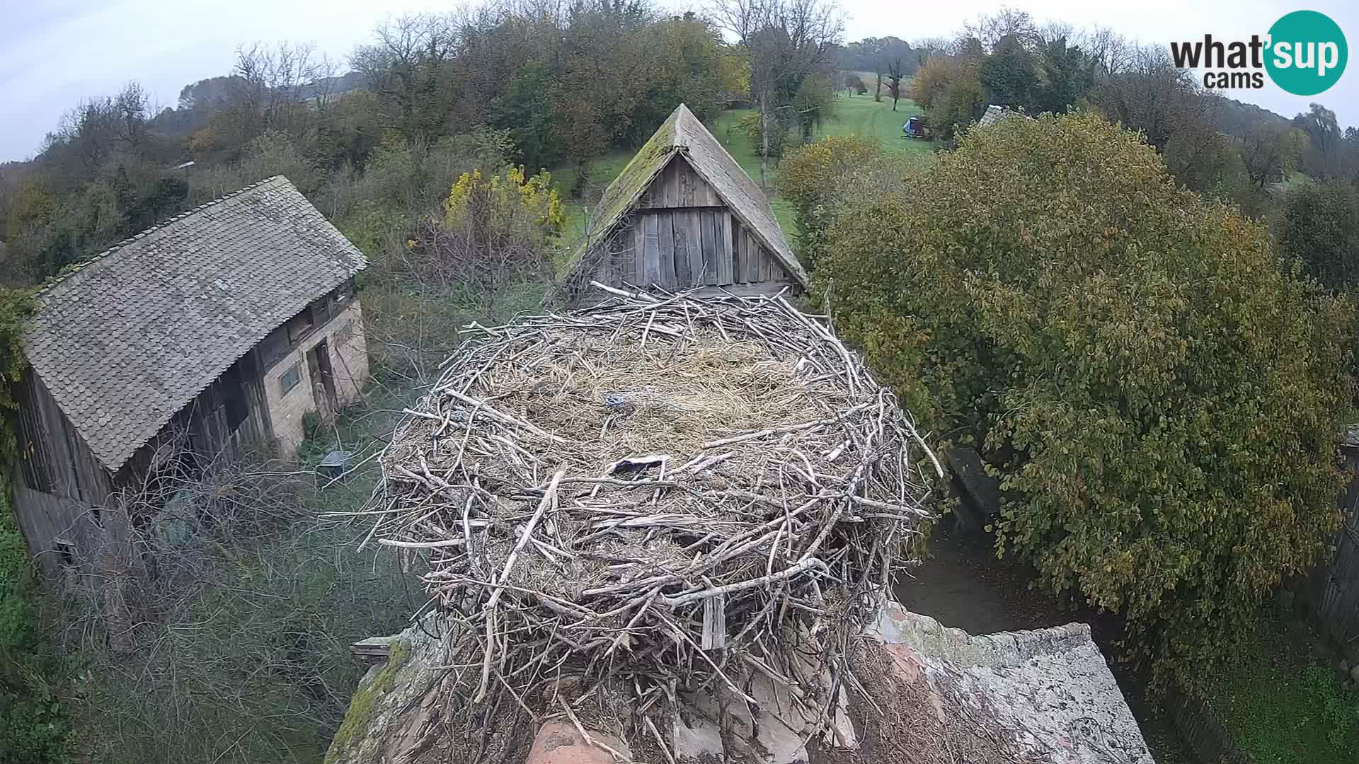 U živo Europsko selo roda – Park prirode Lonjsko polje