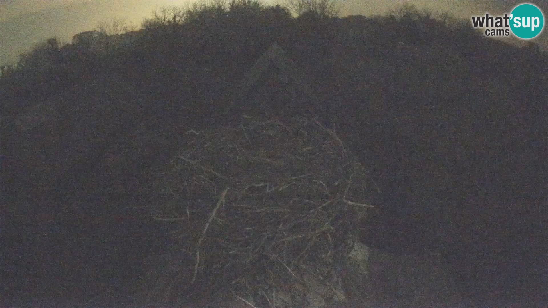 Village européen de cigognes webcam Parc naturel de Lonjsko polje