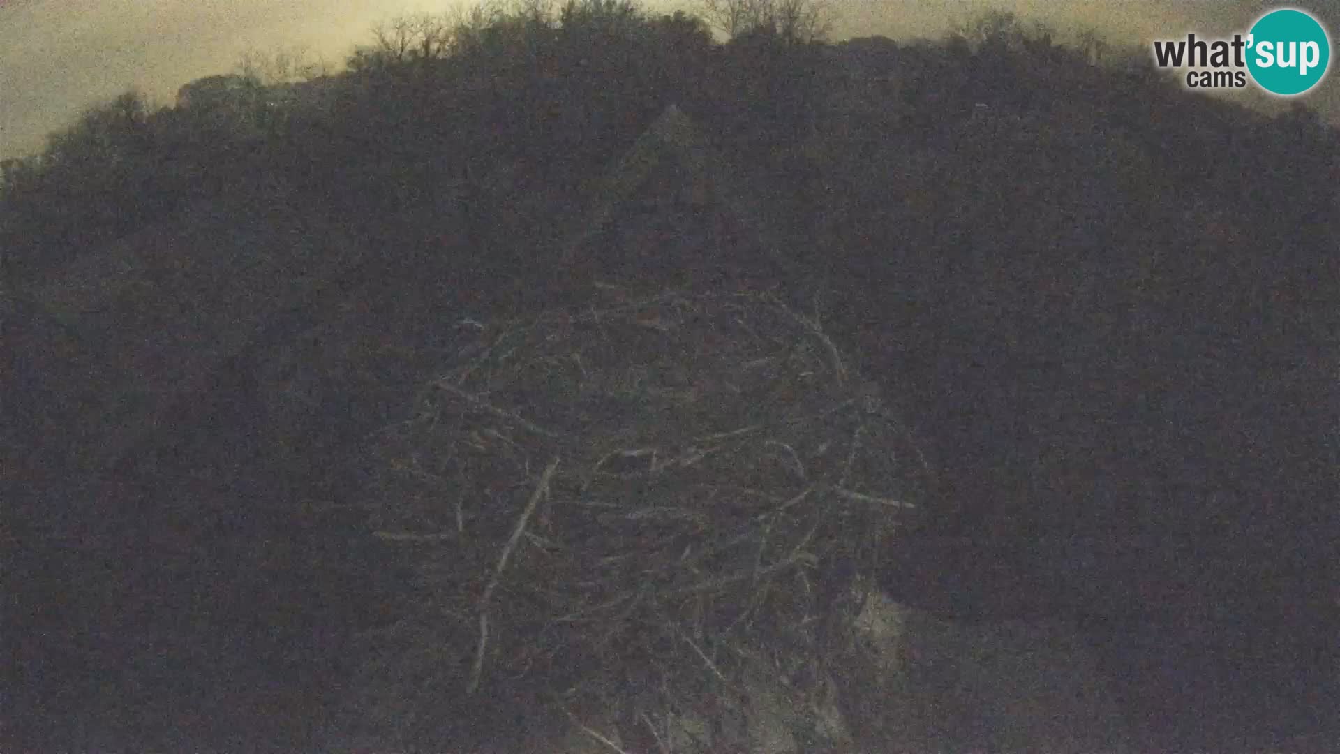 Pueblo europeo de cigüeñas camera en vivo Parque Natural Lonjsko polje