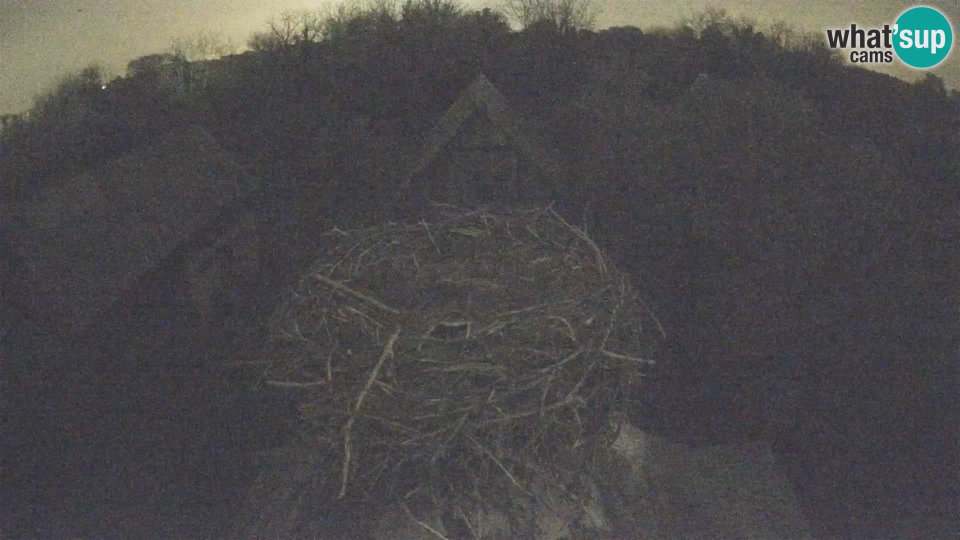 Webcam Europäisches Storchendorf – Naturpark Lonjsko polje