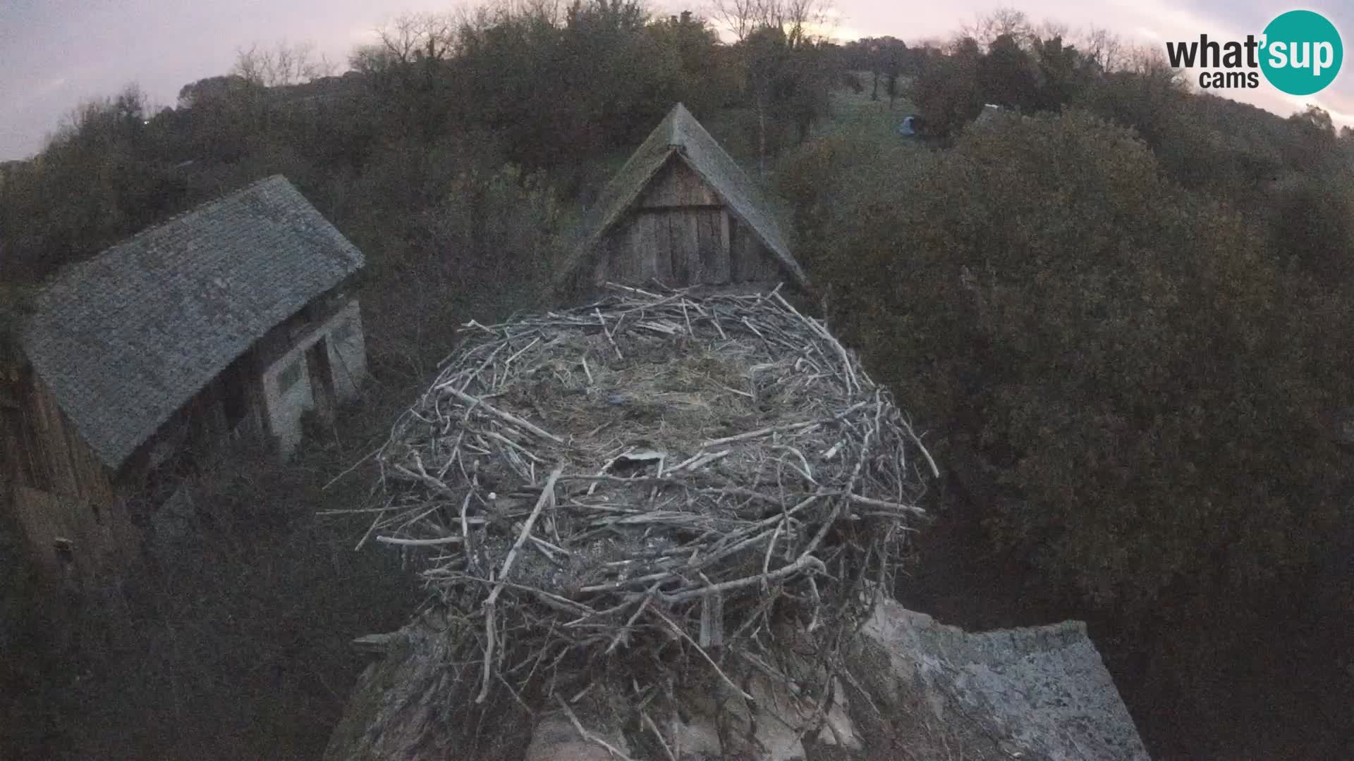 Evropska vas štorklje – Krajinski park Lonjsko polje spletna kamera
