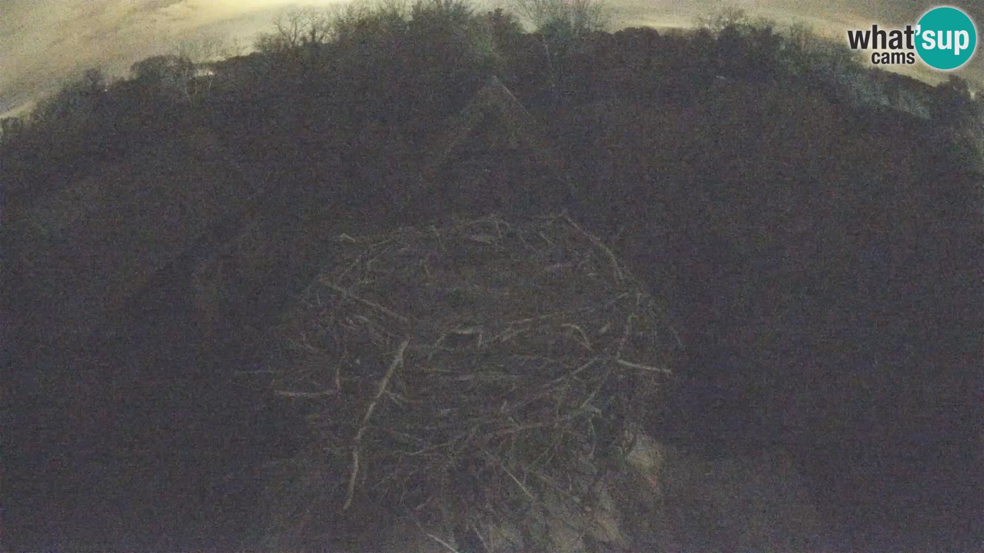 Webcam Europäisches Storchendorf – Naturpark Lonjsko polje