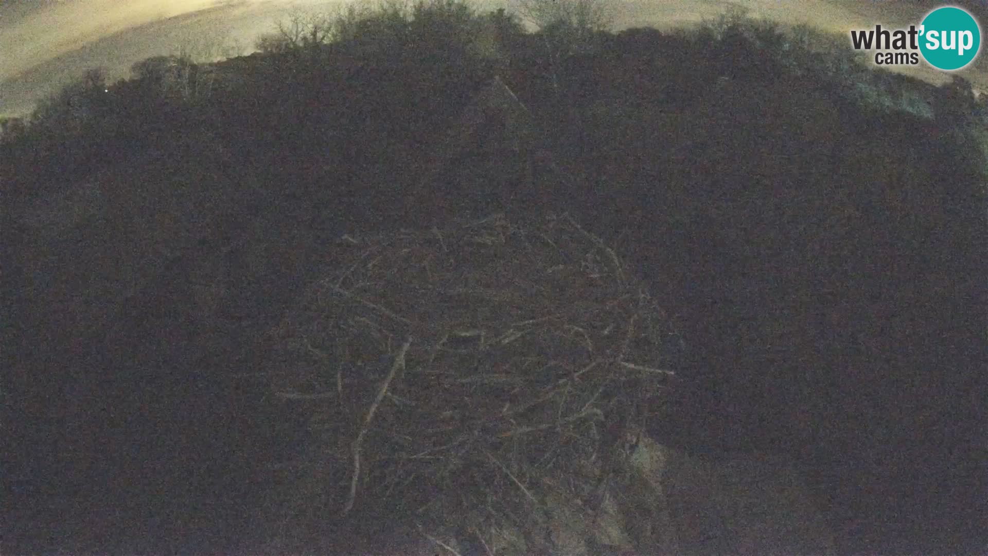 Webcam Europäisches Storchendorf – Naturpark Lonjsko polje