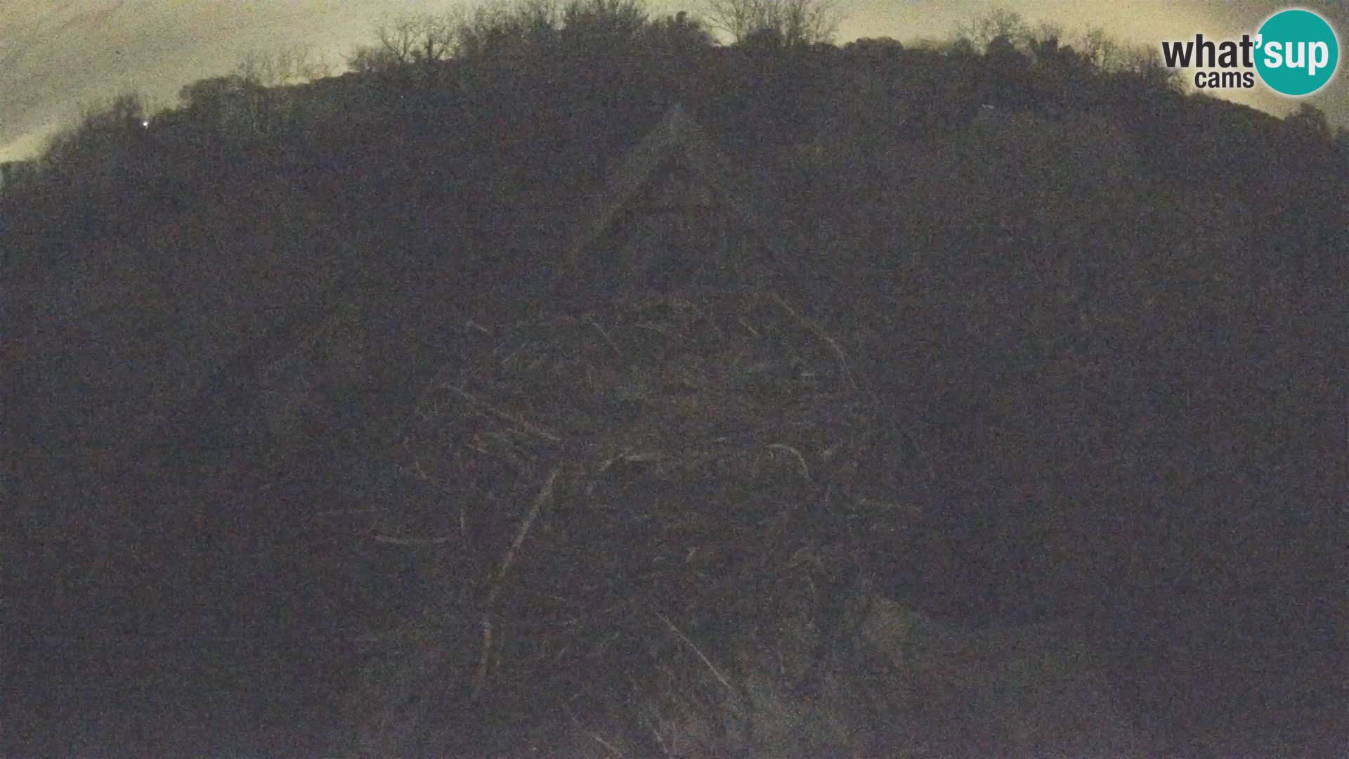 Villaggio delle cicogne europee webcam Parco naturale di Lonjsko polje