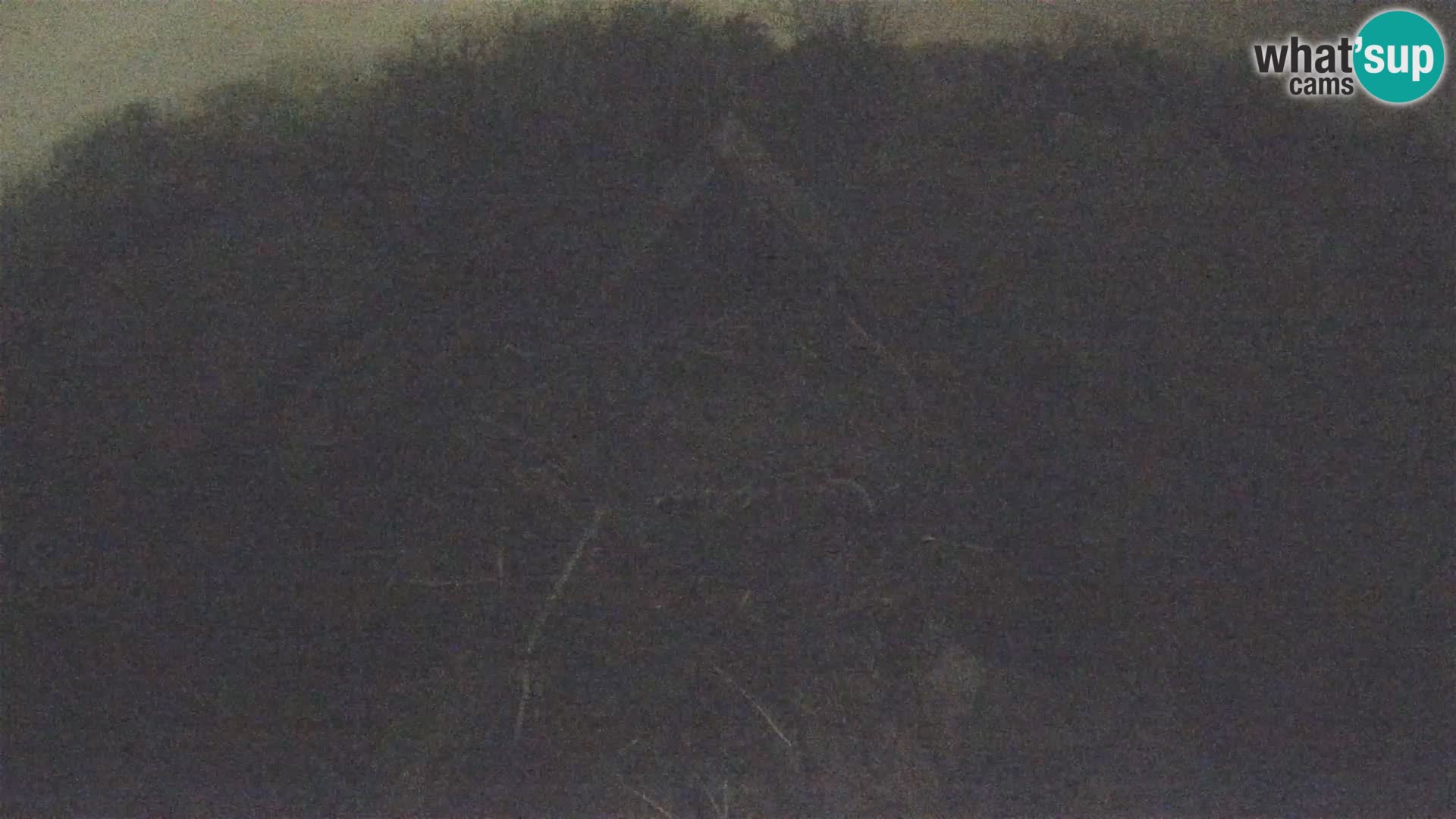 Village européen de cigognes webcam Parc naturel de Lonjsko polje
