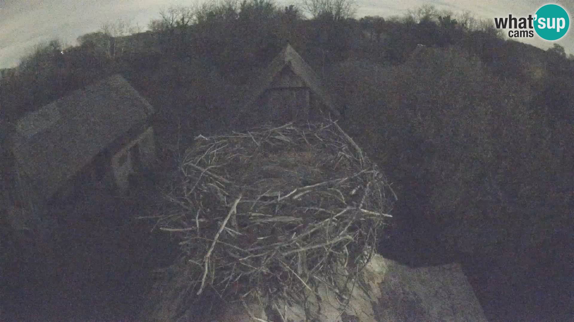 U živo Europsko selo roda – Park prirode Lonjsko polje