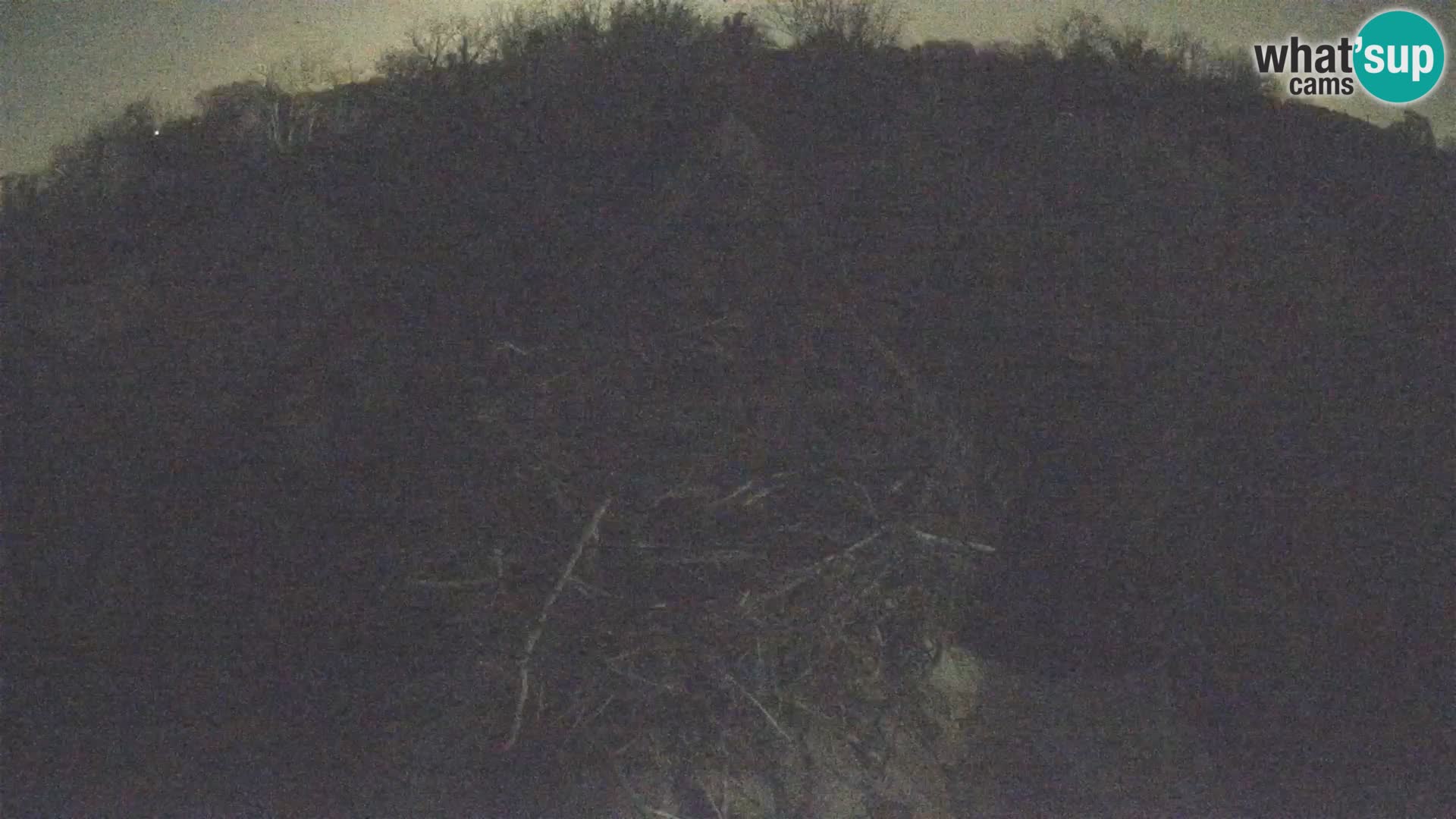 Pueblo europeo de cigüeñas camera en vivo Parque Natural Lonjsko polje