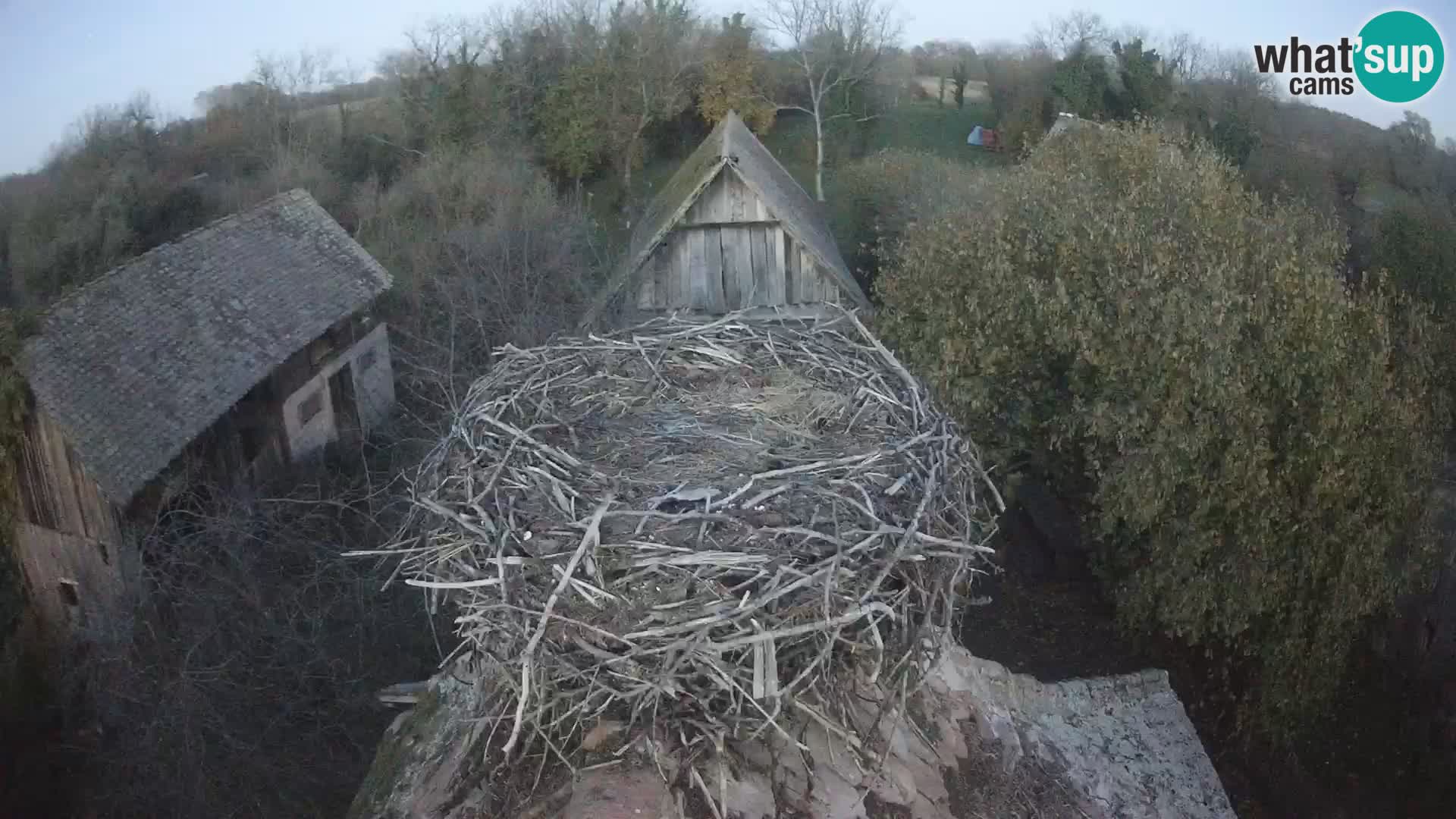 U živo Europsko selo roda – Park prirode Lonjsko polje