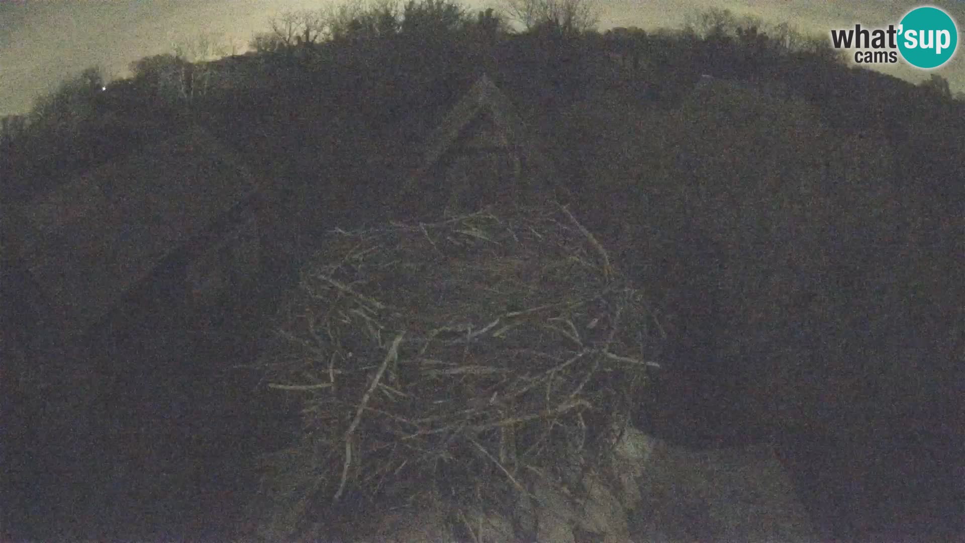 Webcam Europäisches Storchendorf – Naturpark Lonjsko polje