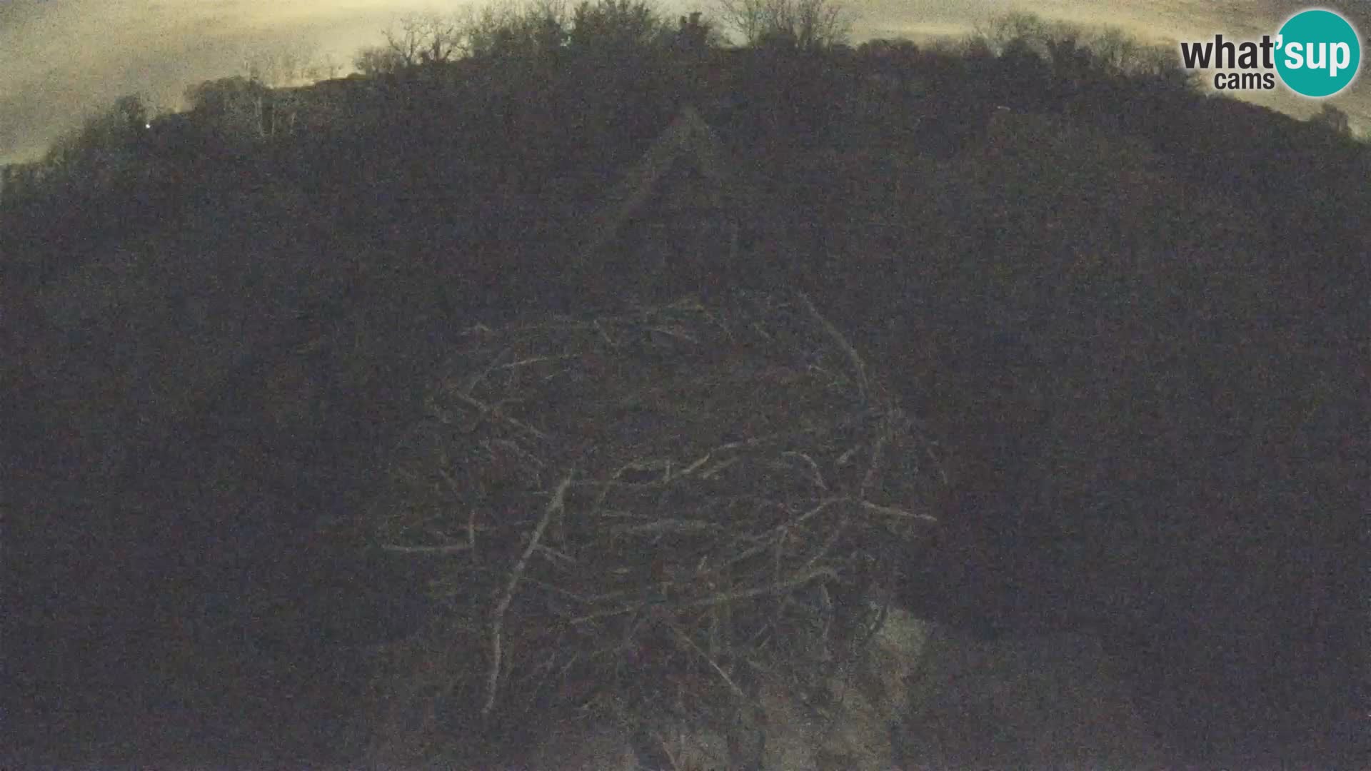 Live webcam European stork village – Lonjsko polje Nature Park