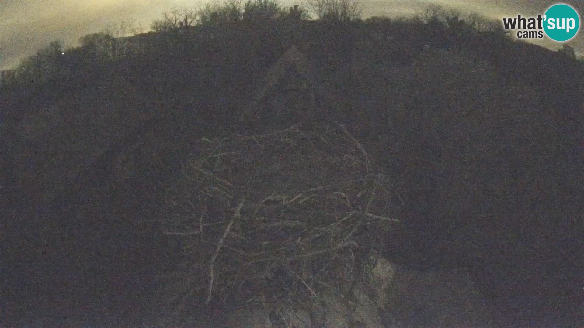 Pueblo europeo de cigüeñas camera en vivo Parque Natural Lonjsko polje