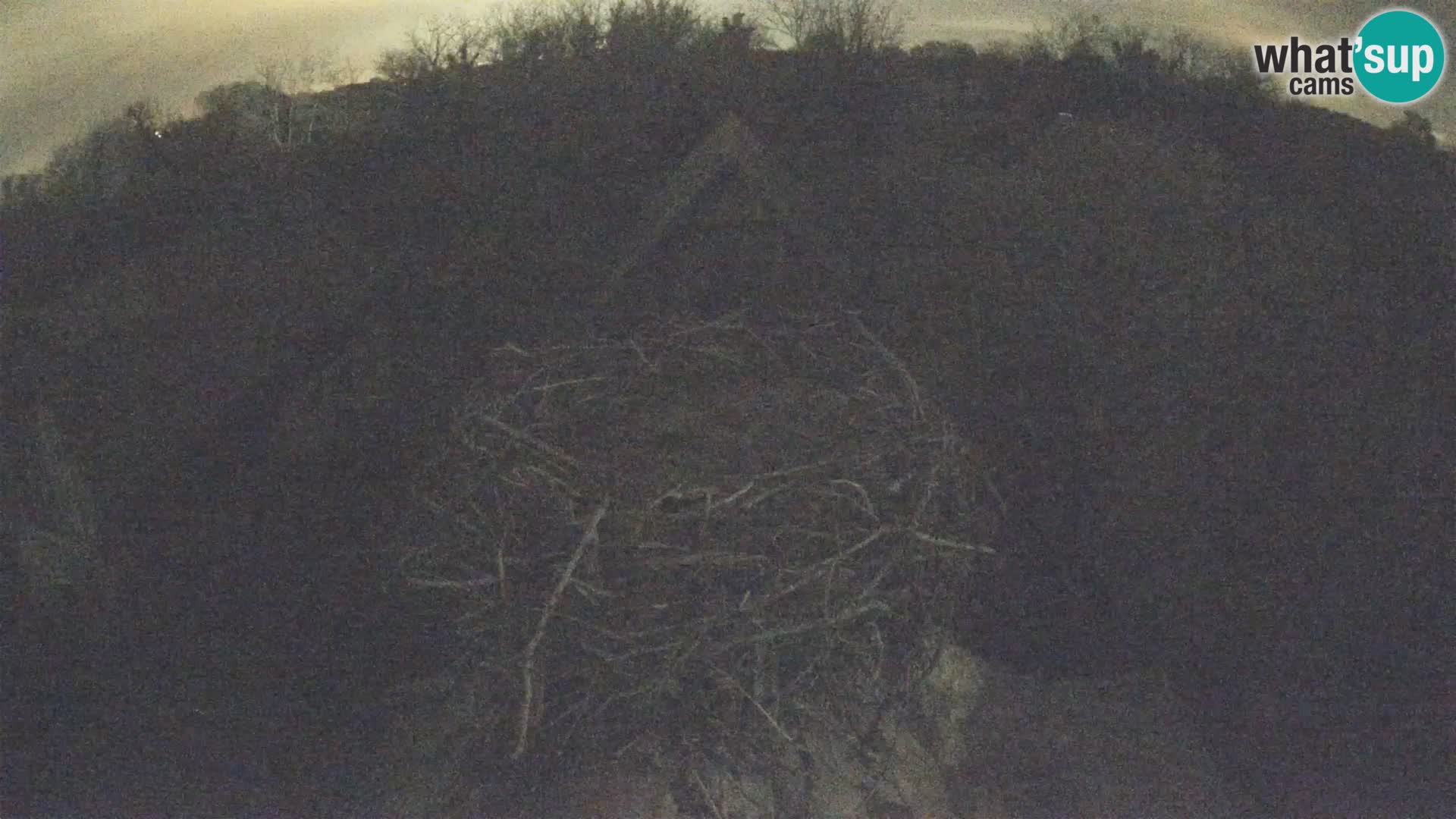 U živo Europsko selo roda – Park prirode Lonjsko polje