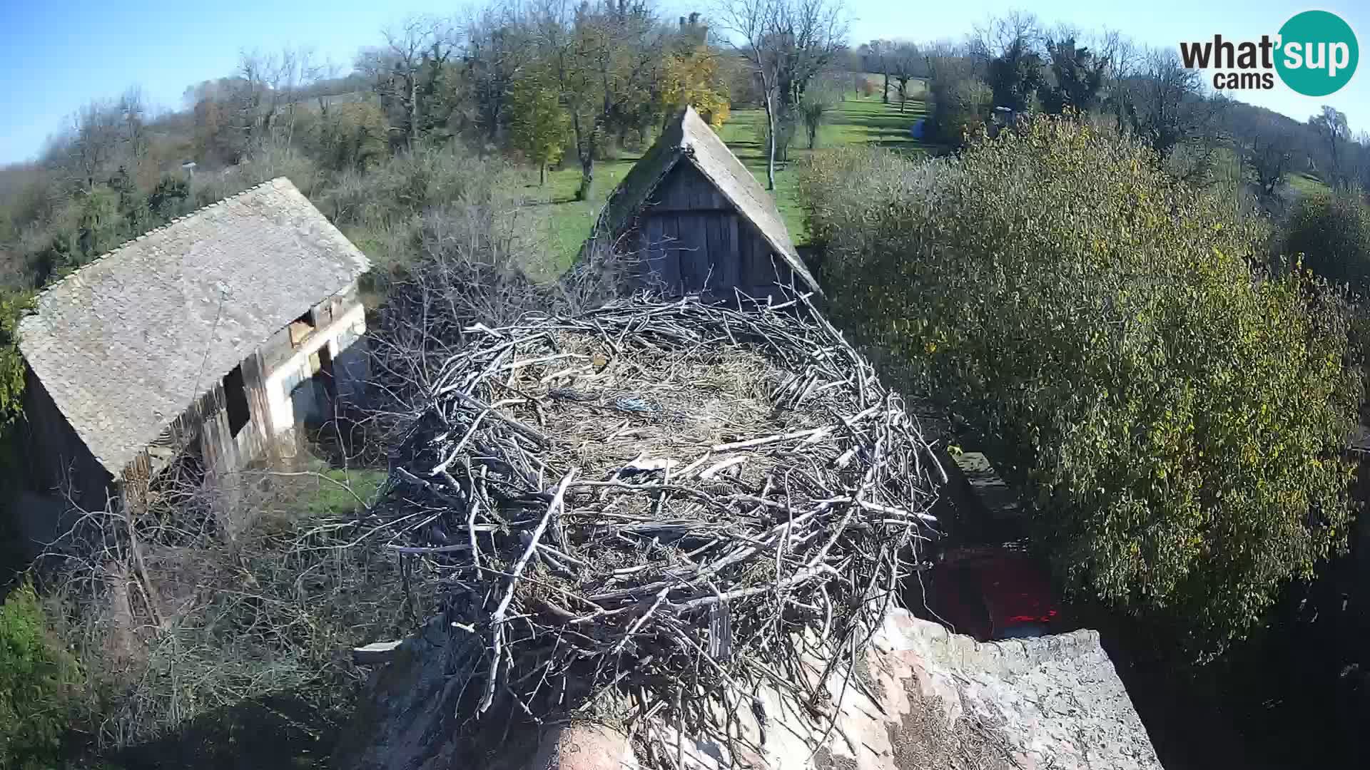 U živo Europsko selo roda – Park prirode Lonjsko polje