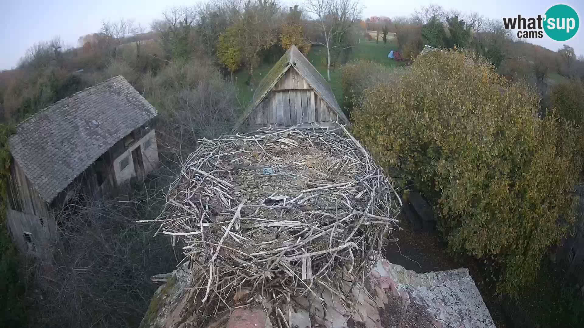 U živo Europsko selo roda – Park prirode Lonjsko polje