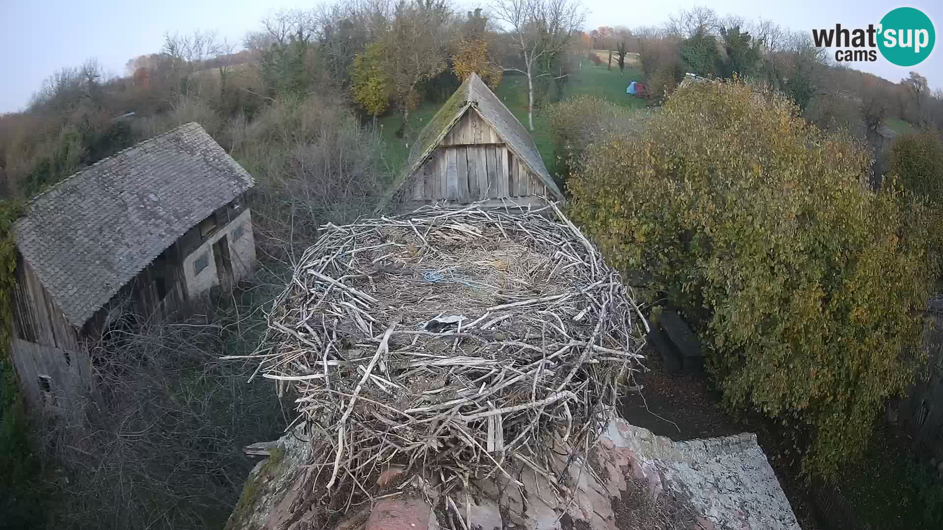 U živo Europsko selo roda – Park prirode Lonjsko polje