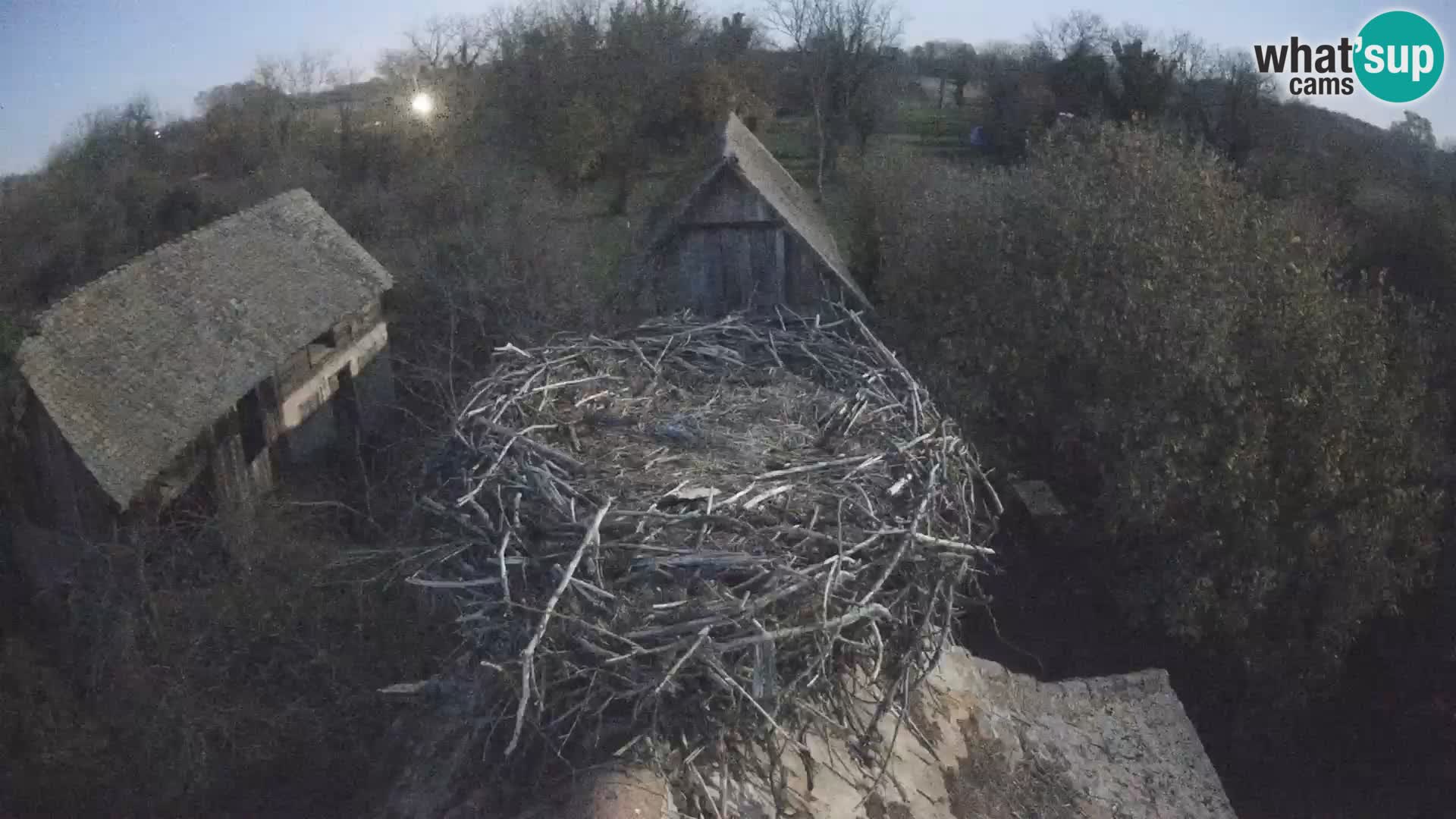 Webcam Europäisches Storchendorf – Naturpark Lonjsko polje