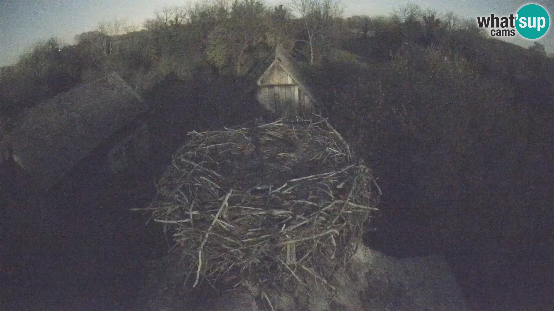 U živo Europsko selo roda – Park prirode Lonjsko polje