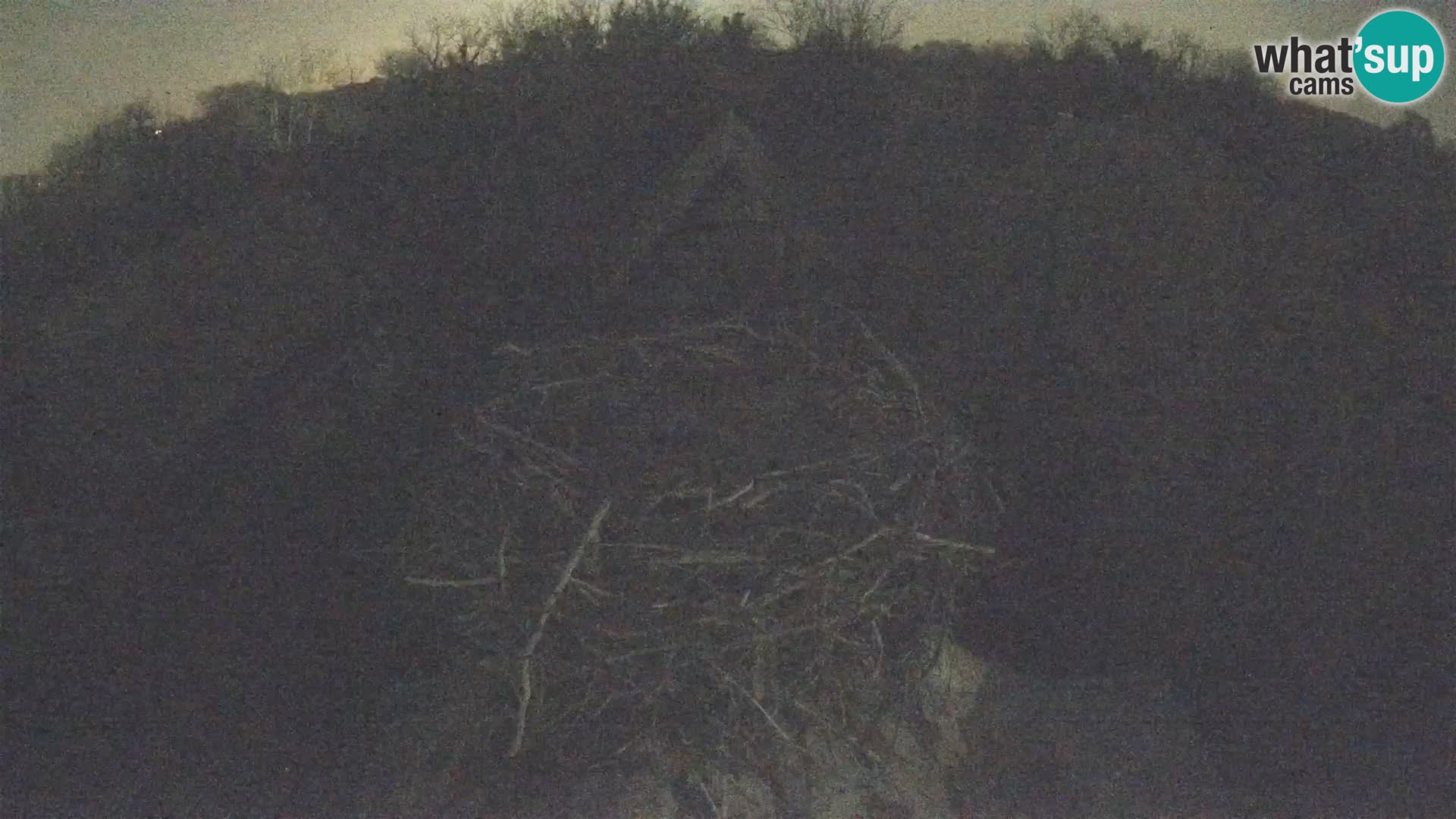 U živo Europsko selo roda – Park prirode Lonjsko polje