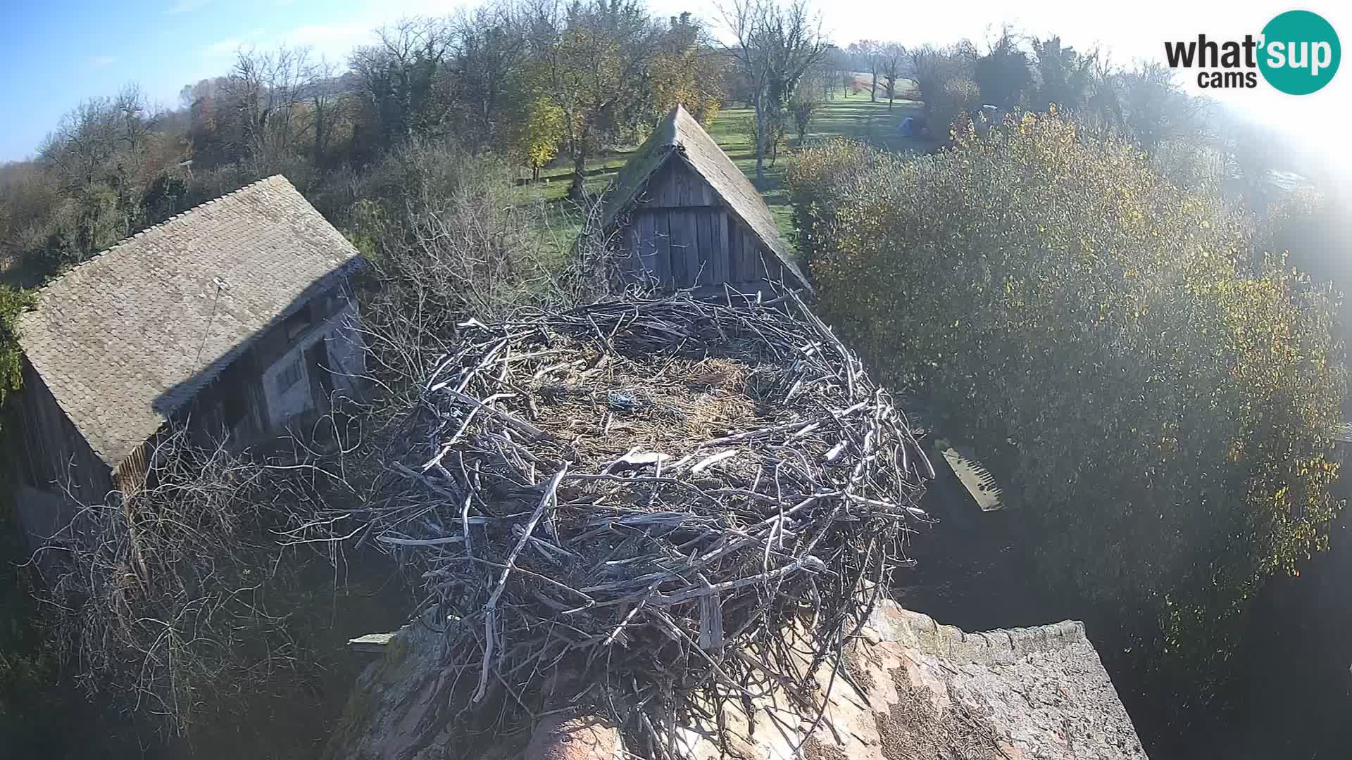 U živo Europsko selo roda – Park prirode Lonjsko polje
