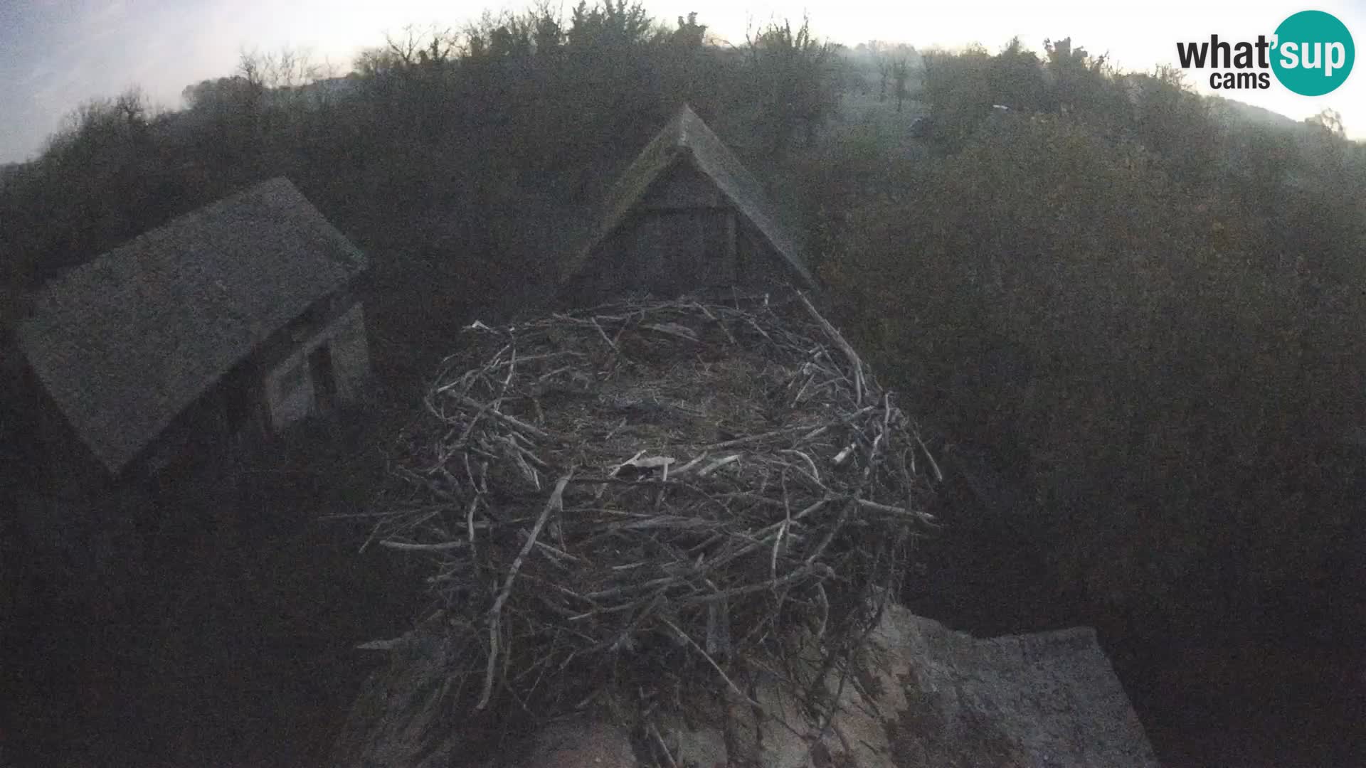 U živo Europsko selo roda – Park prirode Lonjsko polje
