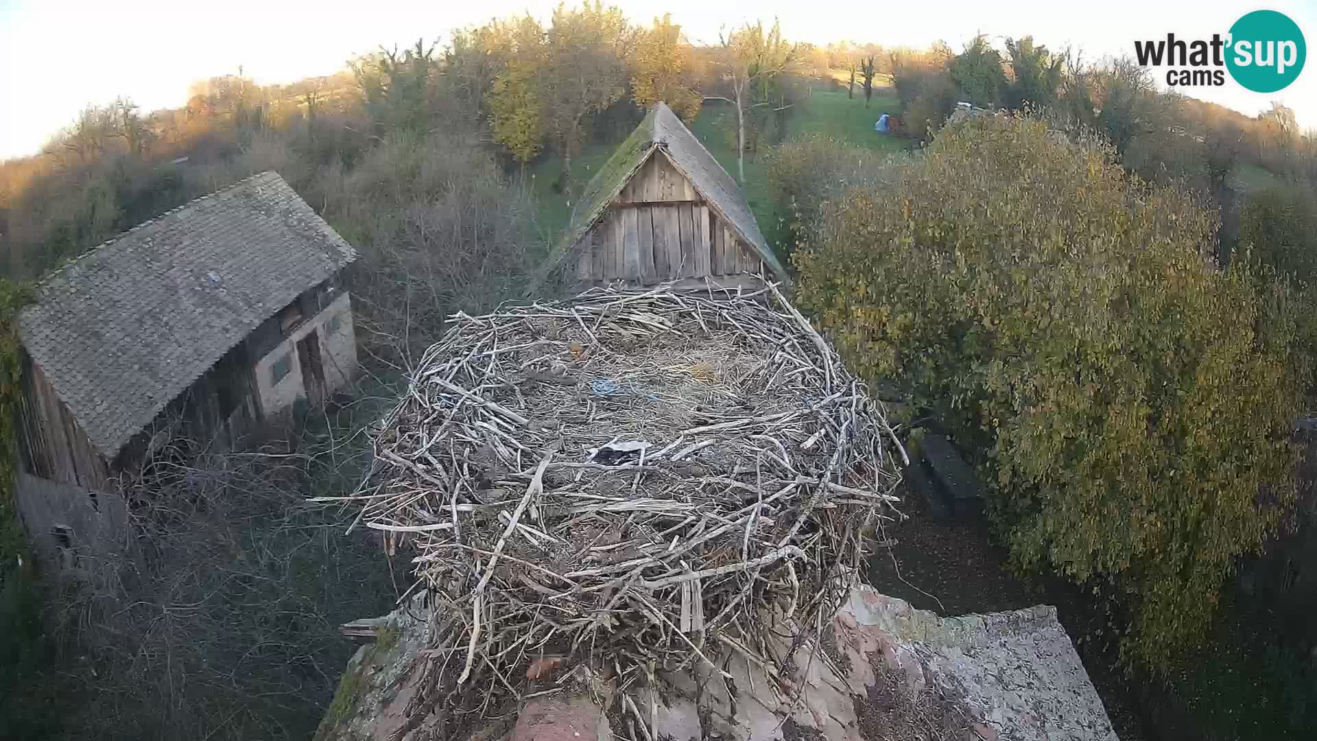 U živo Europsko selo roda – Park prirode Lonjsko polje