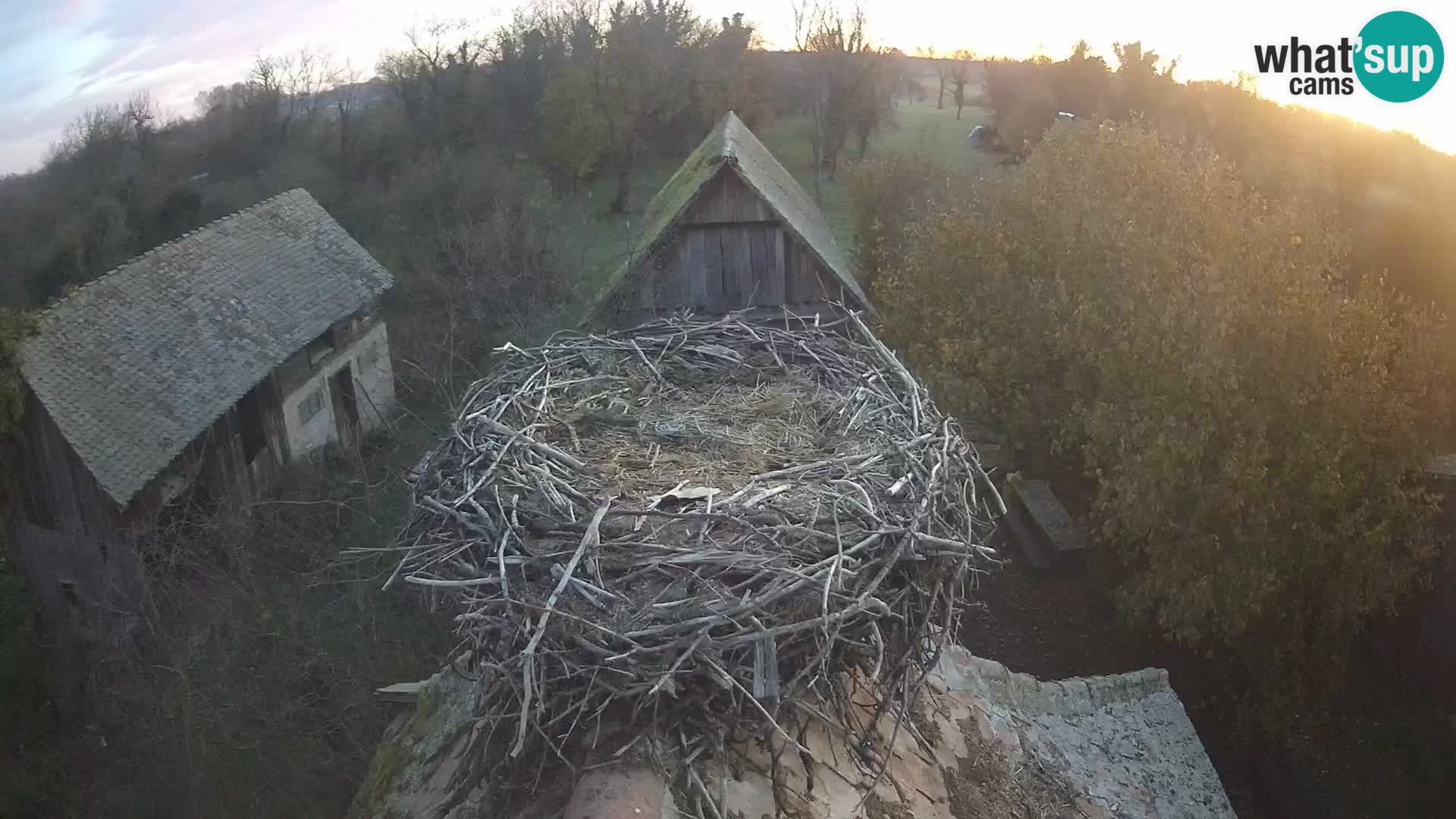 U živo Europsko selo roda – Park prirode Lonjsko polje