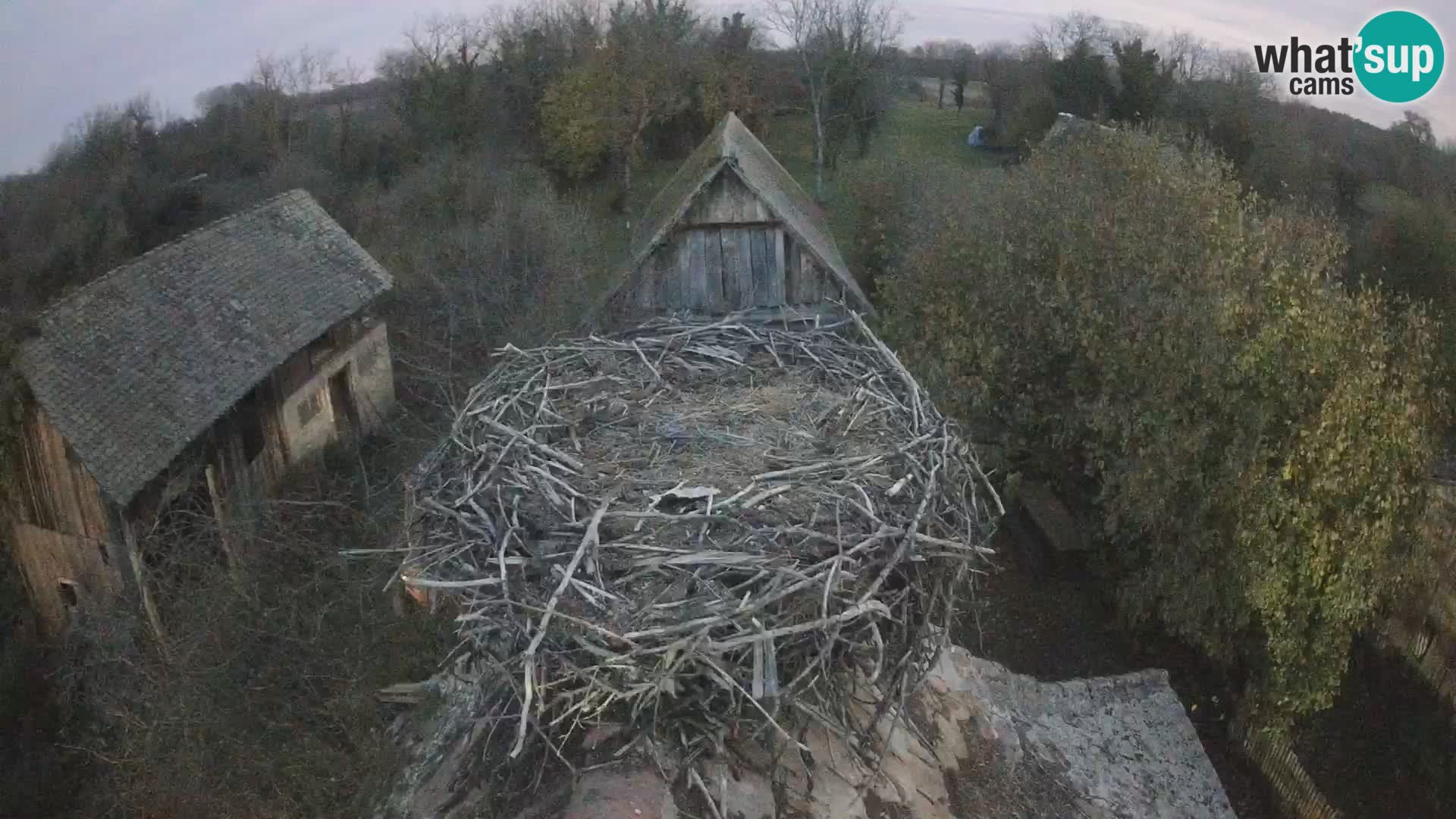 U živo Europsko selo roda – Park prirode Lonjsko polje