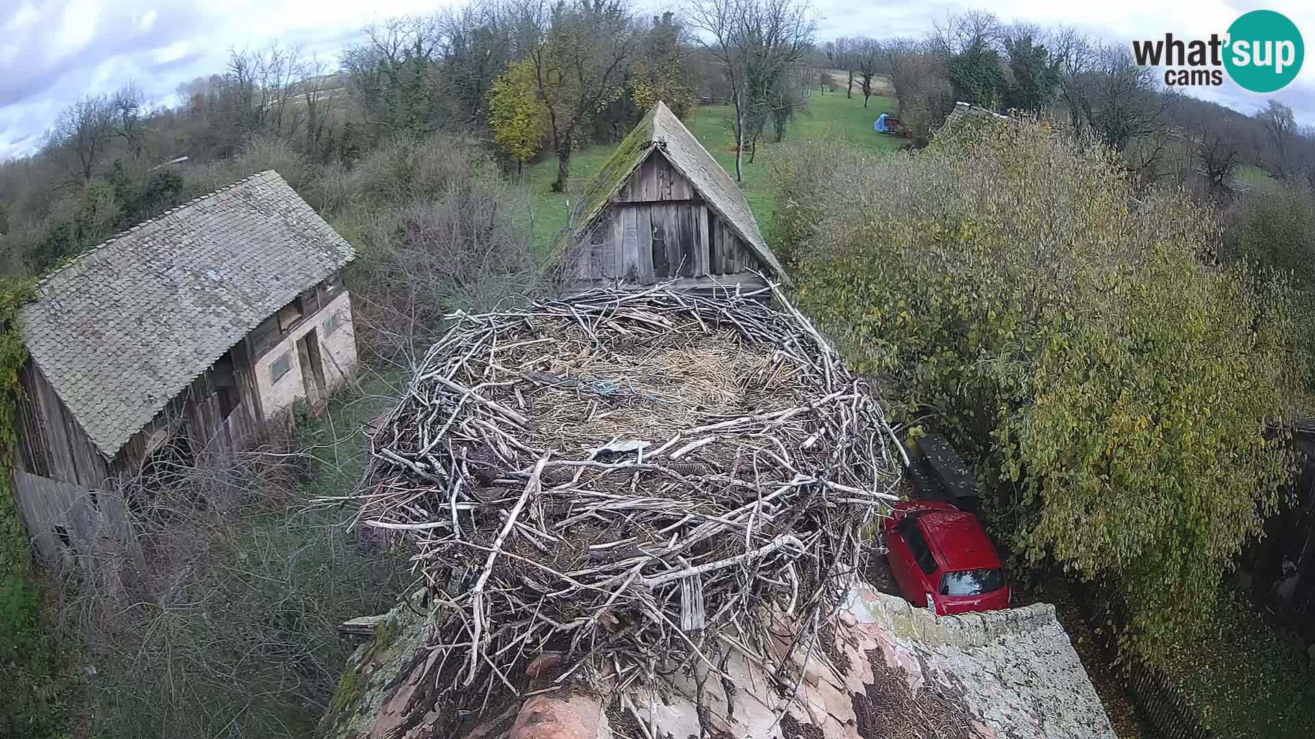 U živo Europsko selo roda – Park prirode Lonjsko polje