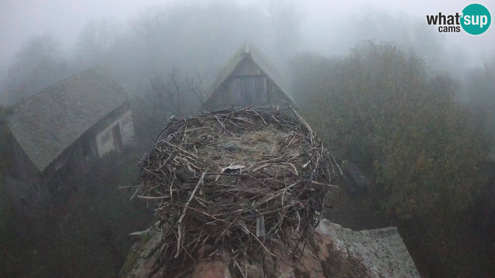 U živo Europsko selo roda – Park prirode Lonjsko polje