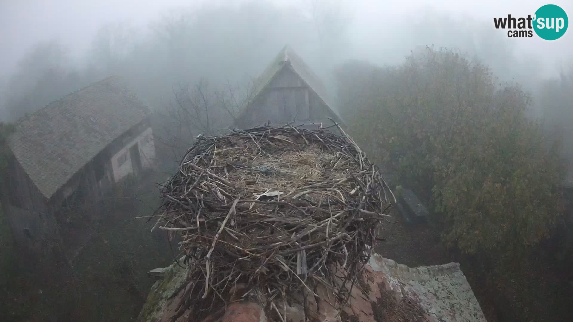 U živo Europsko selo roda – Park prirode Lonjsko polje