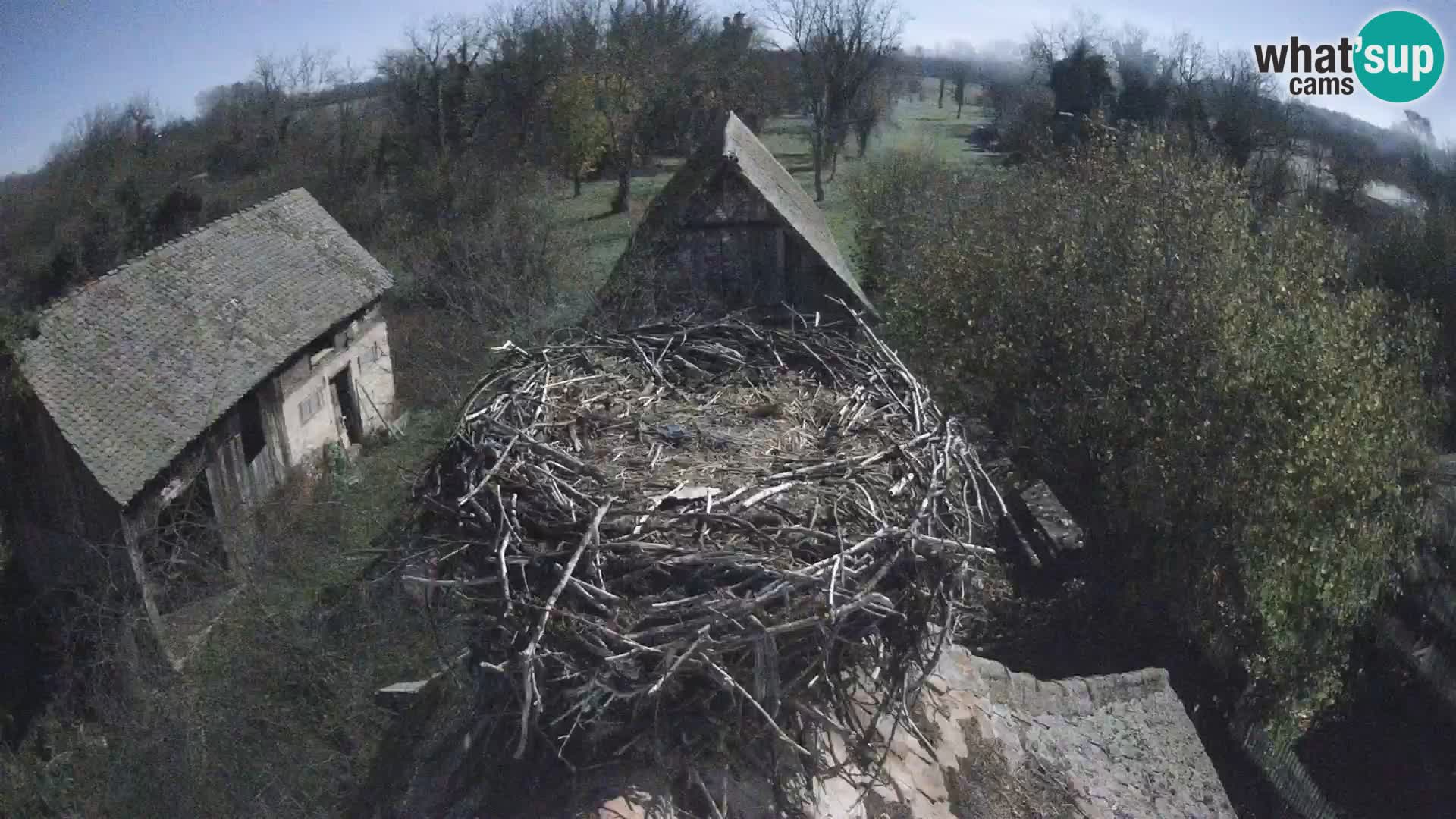 U živo Europsko selo roda – Park prirode Lonjsko polje