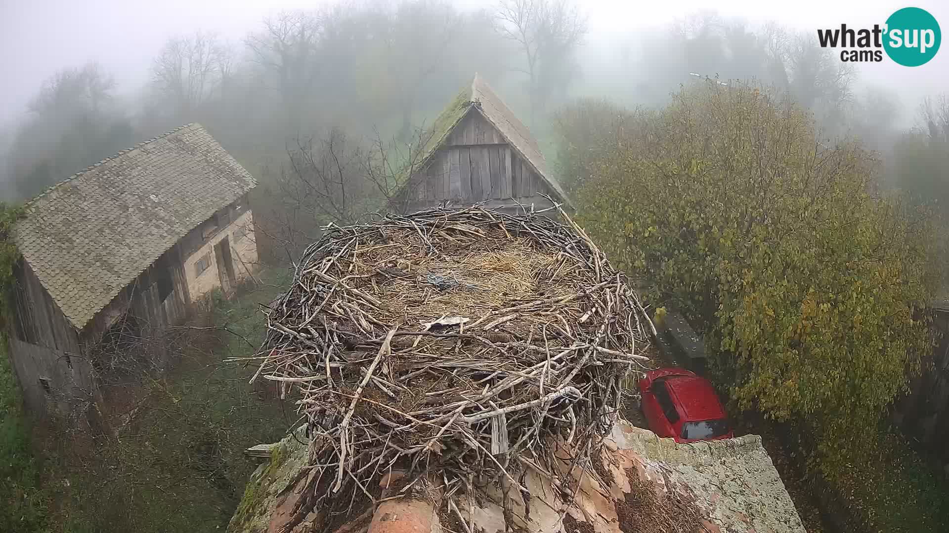 U živo Europsko selo roda – Park prirode Lonjsko polje