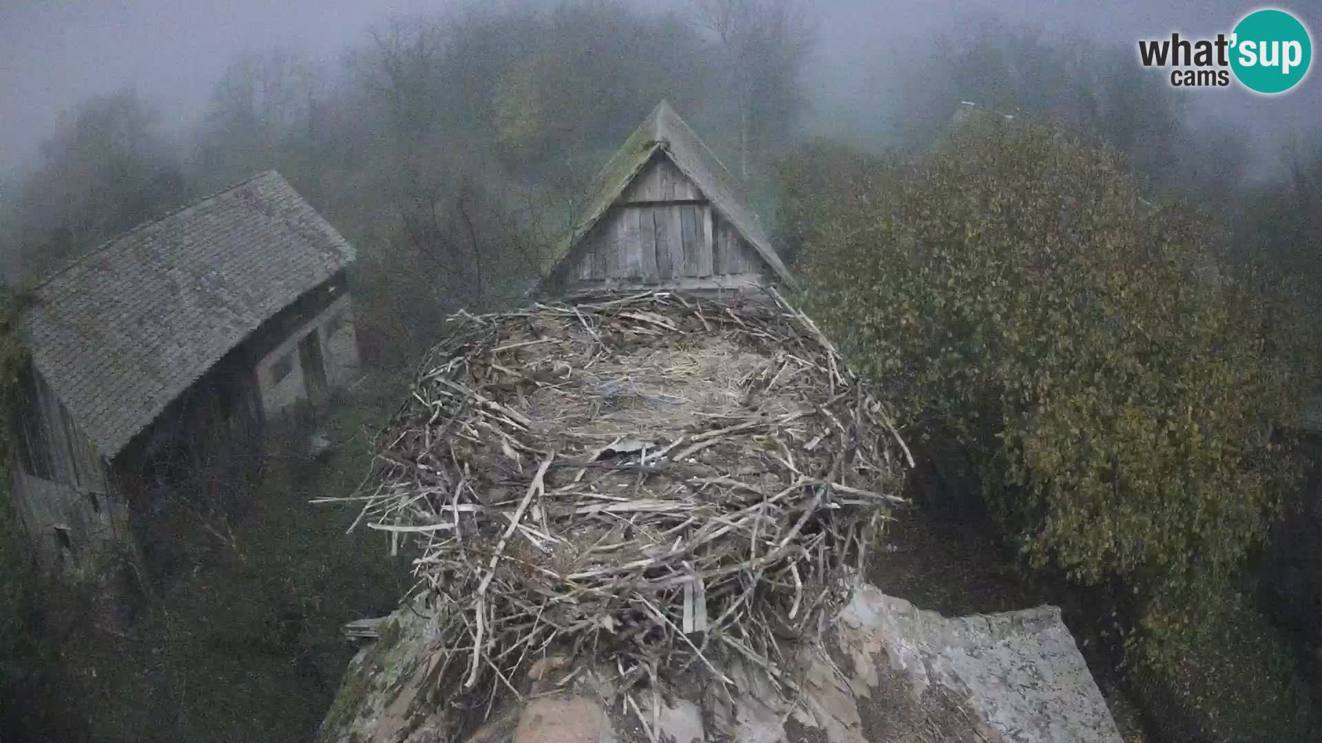 U živo Europsko selo roda – Park prirode Lonjsko polje