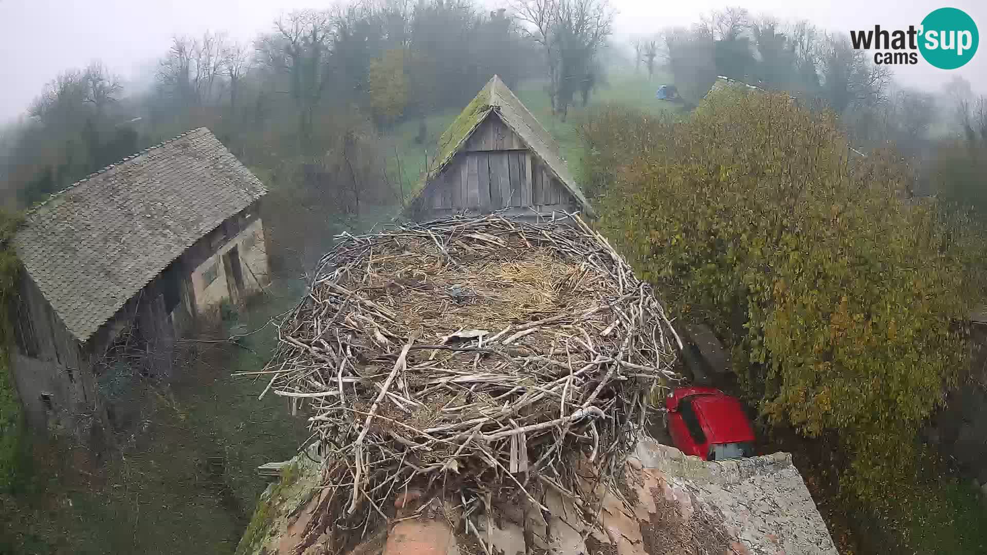 Webcam Europäisches Storchendorf – Naturpark Lonjsko polje
