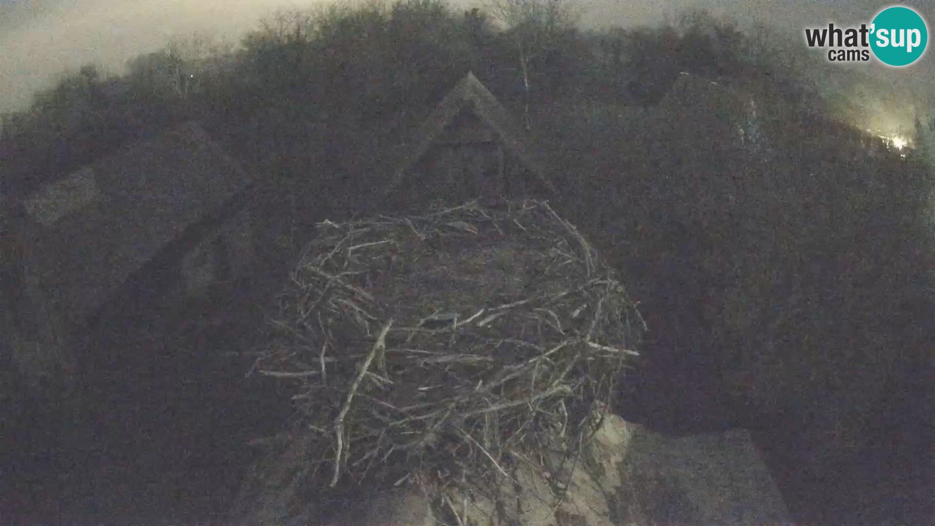 Webcam Europäisches Storchendorf – Naturpark Lonjsko polje