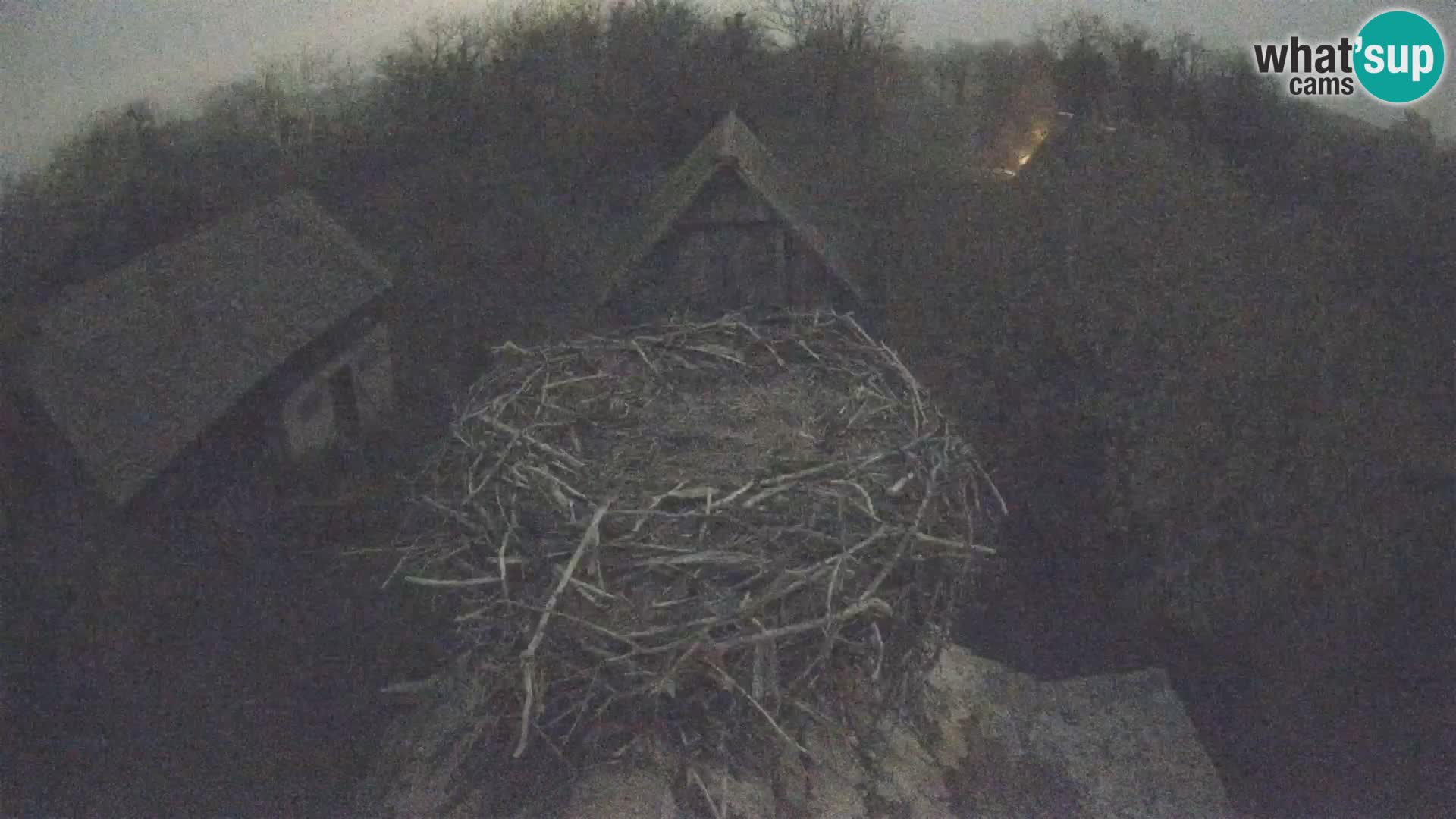 Evropska vas štorklje – Krajinski park Lonjsko polje spletna kamera