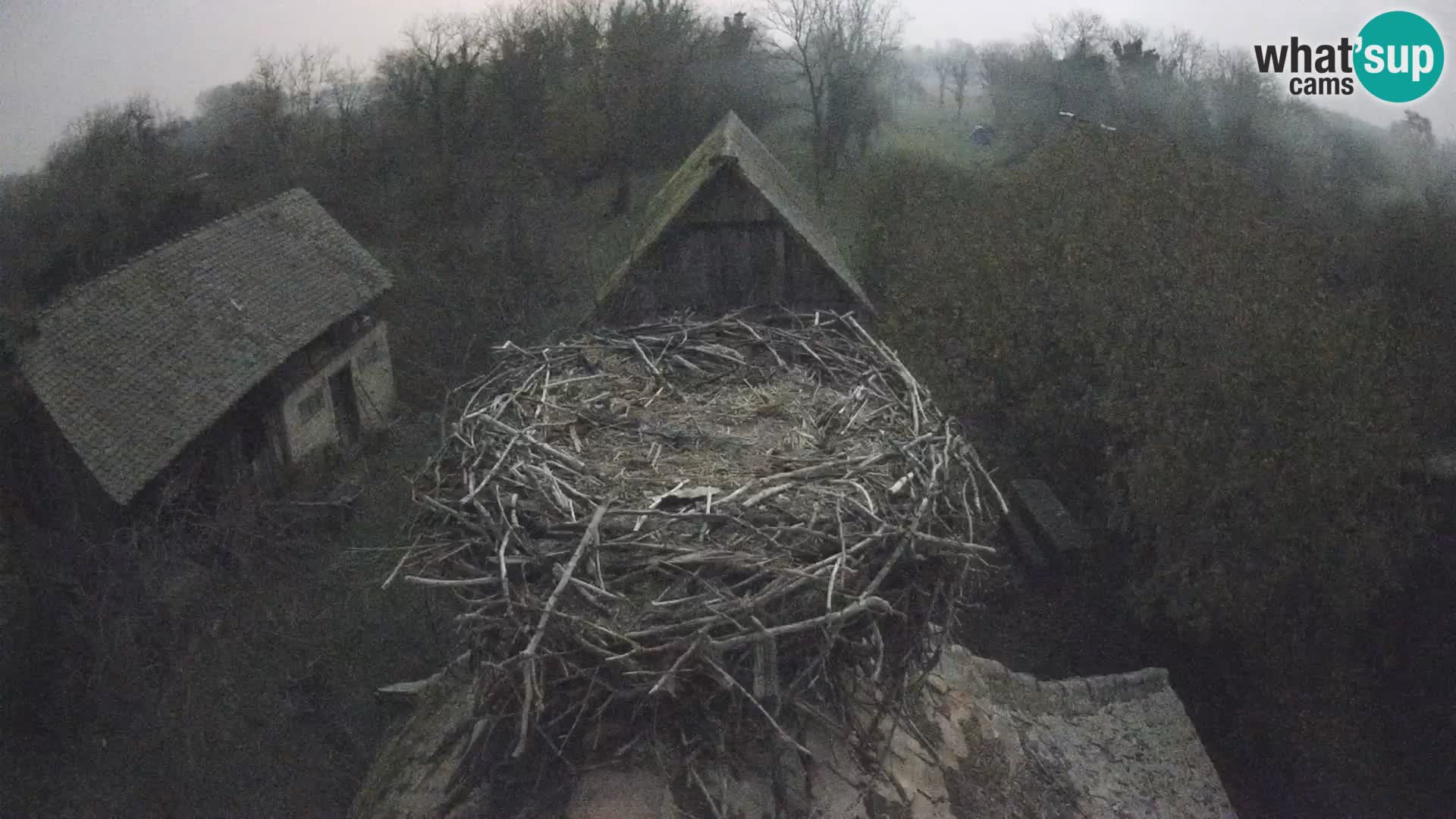 U živo Europsko selo roda – Park prirode Lonjsko polje