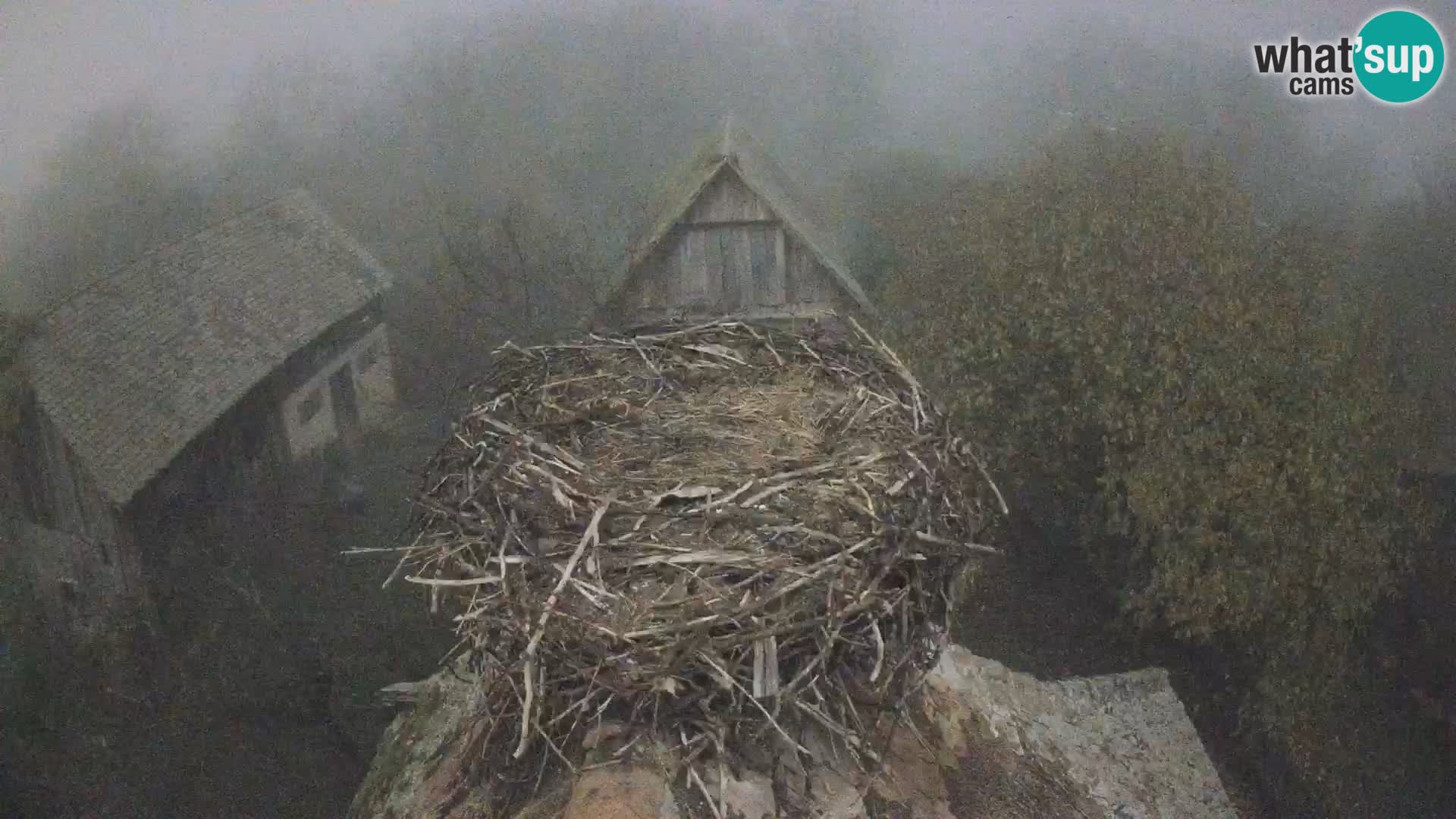 U živo Europsko selo roda – Park prirode Lonjsko polje