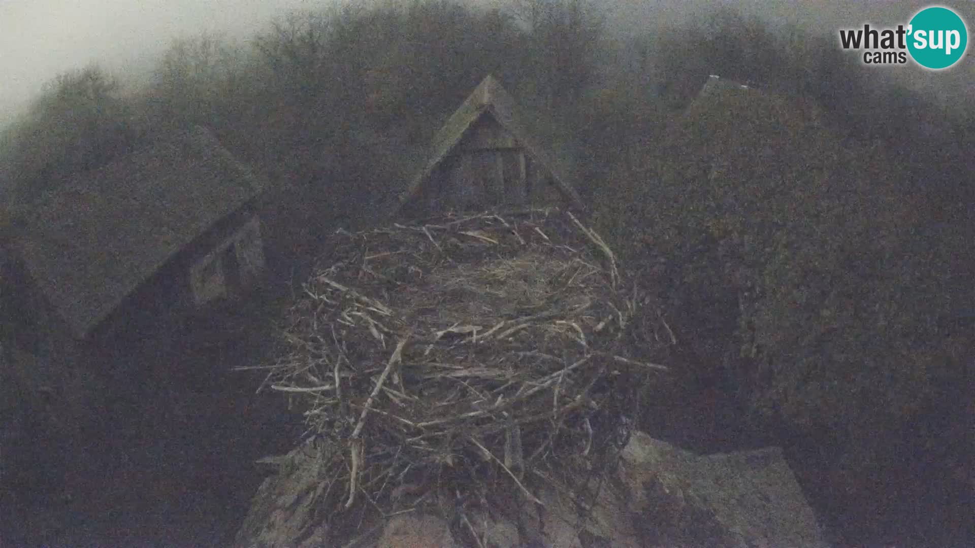 U živo Europsko selo roda – Park prirode Lonjsko polje