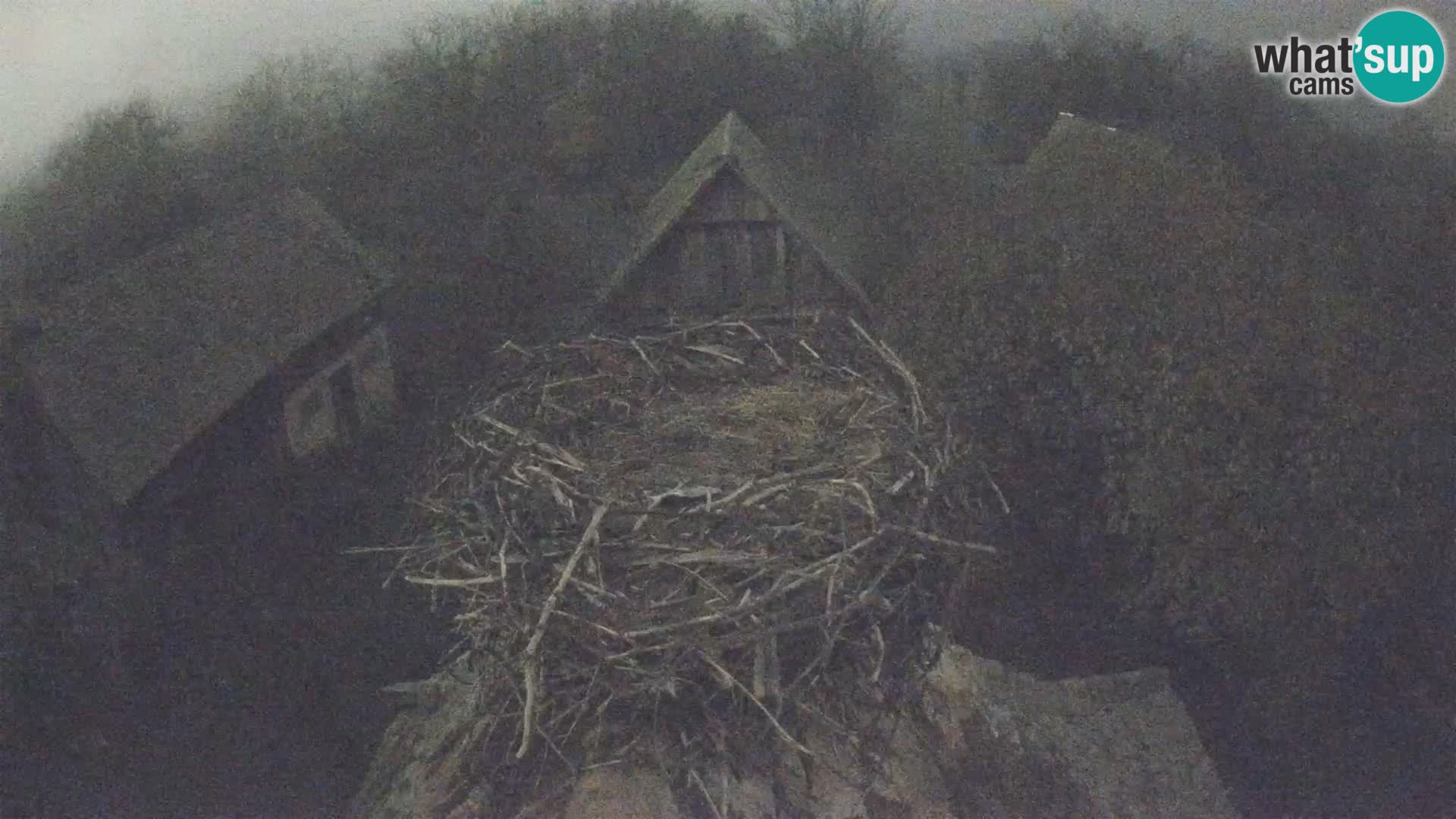 U živo Europsko selo roda – Park prirode Lonjsko polje