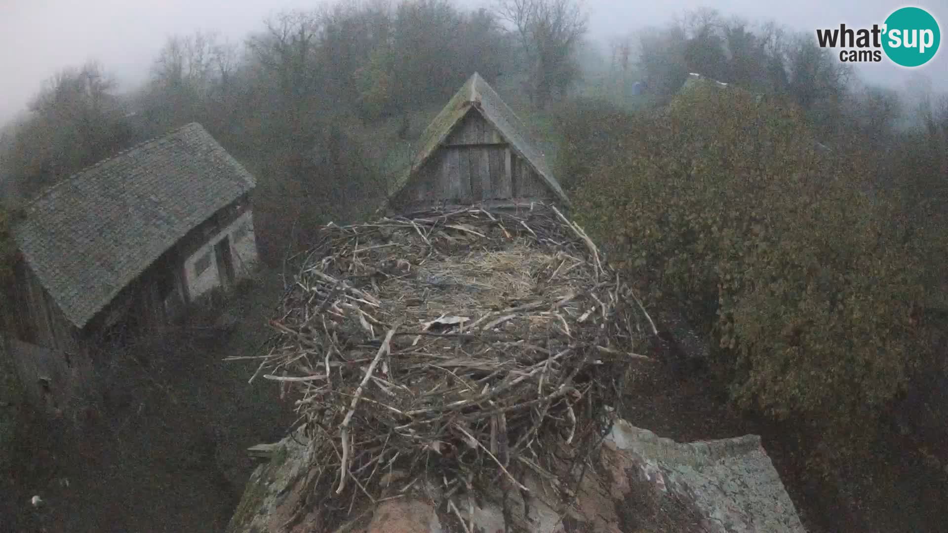 U živo Europsko selo roda – Park prirode Lonjsko polje