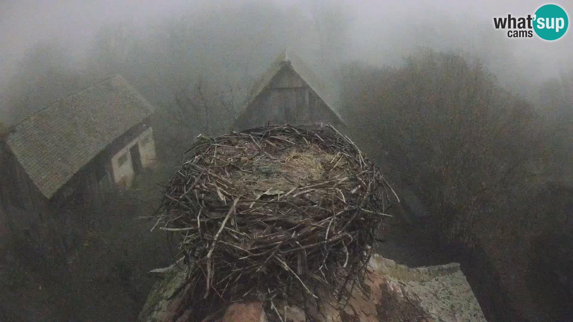 U živo Europsko selo roda – Park prirode Lonjsko polje