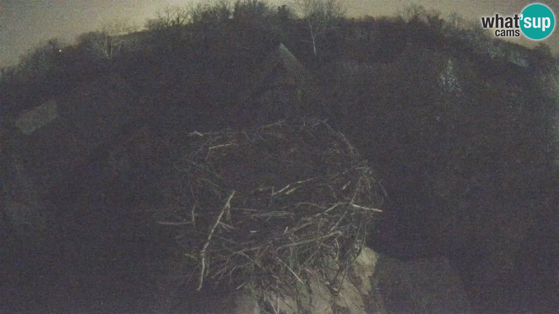 Webcam Europäisches Storchendorf – Naturpark Lonjsko polje