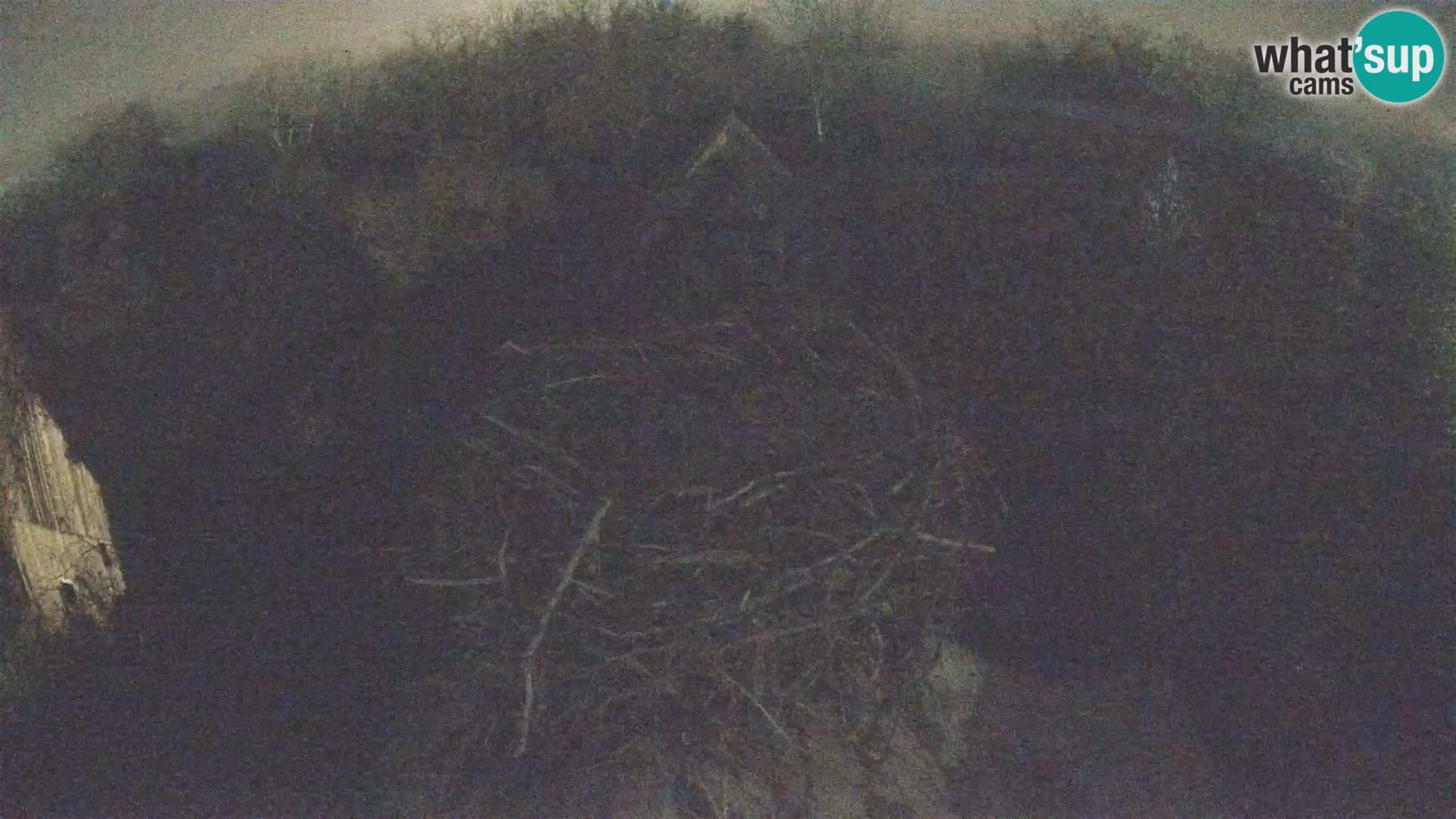 Live webcam European stork village – Lonjsko polje Nature Park