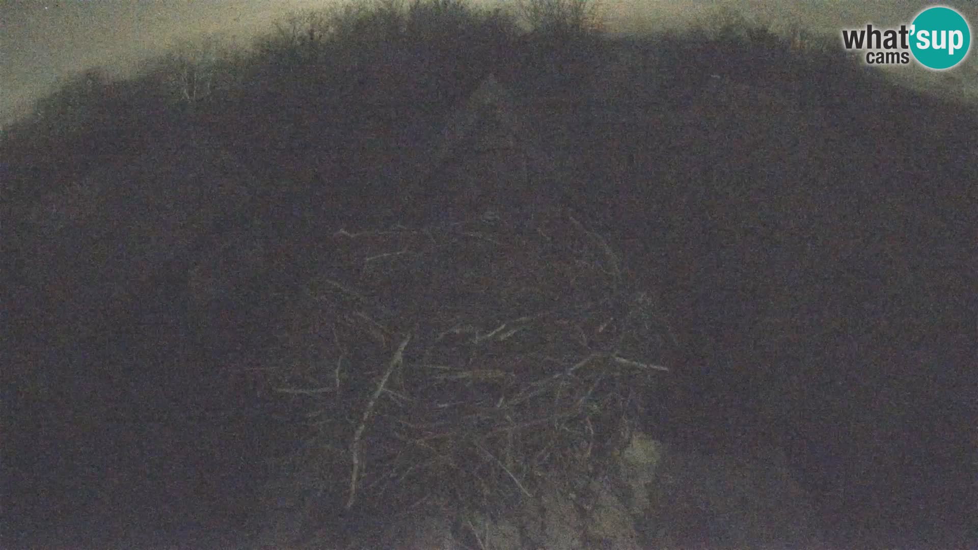 Pueblo europeo de cigüeñas camera en vivo Parque Natural Lonjsko polje