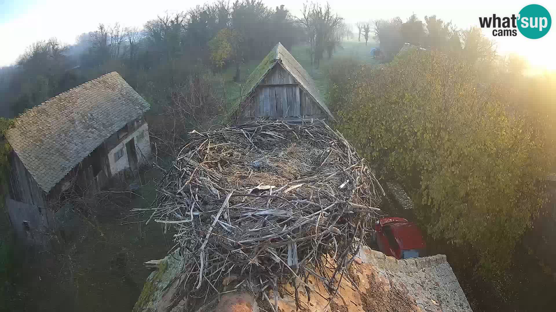 Webcam Europäisches Storchendorf – Naturpark Lonjsko polje