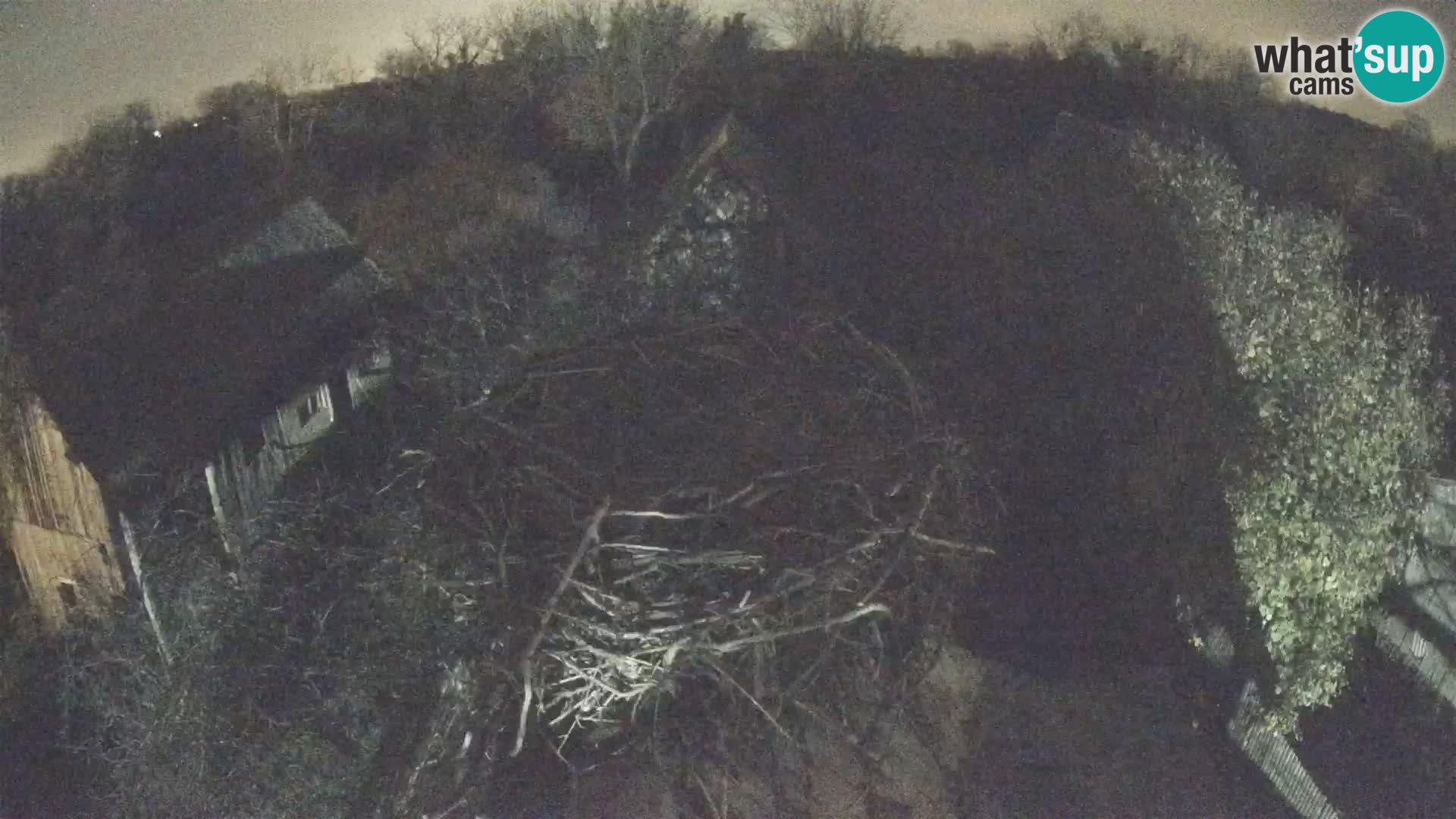 U živo Europsko selo roda – Park prirode Lonjsko polje